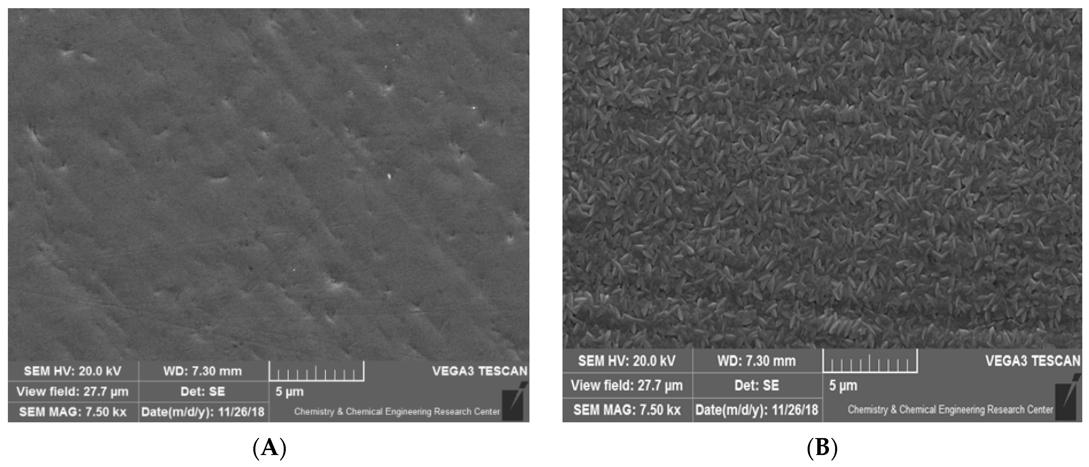 Coatings 16 00324 g003