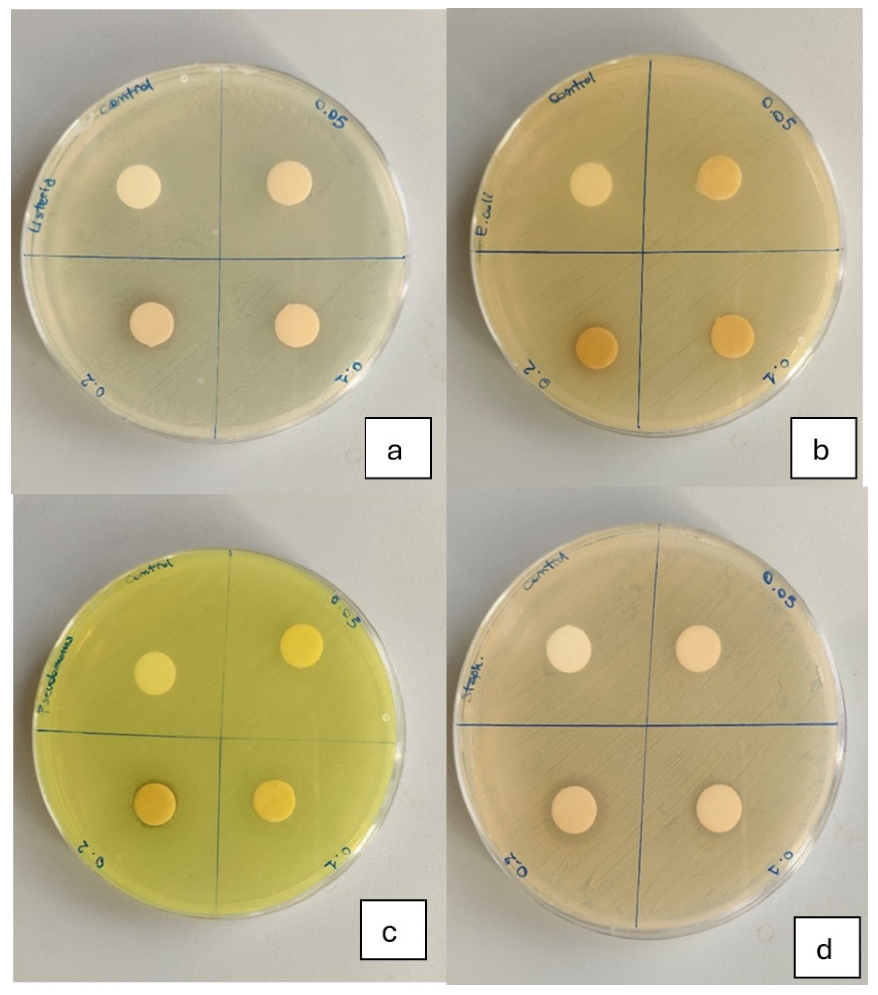 Coatings 16 00334 g002