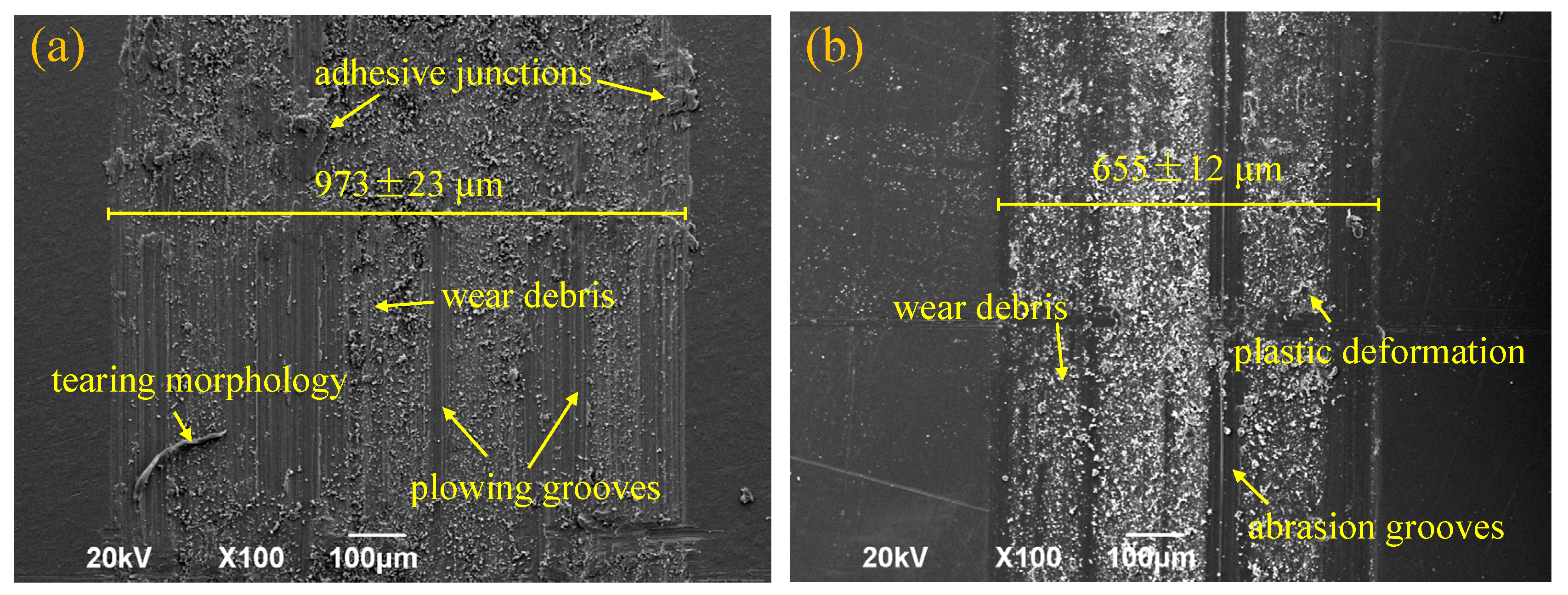 Coatings 16 00344 g010 Coatings 16 00344 g010