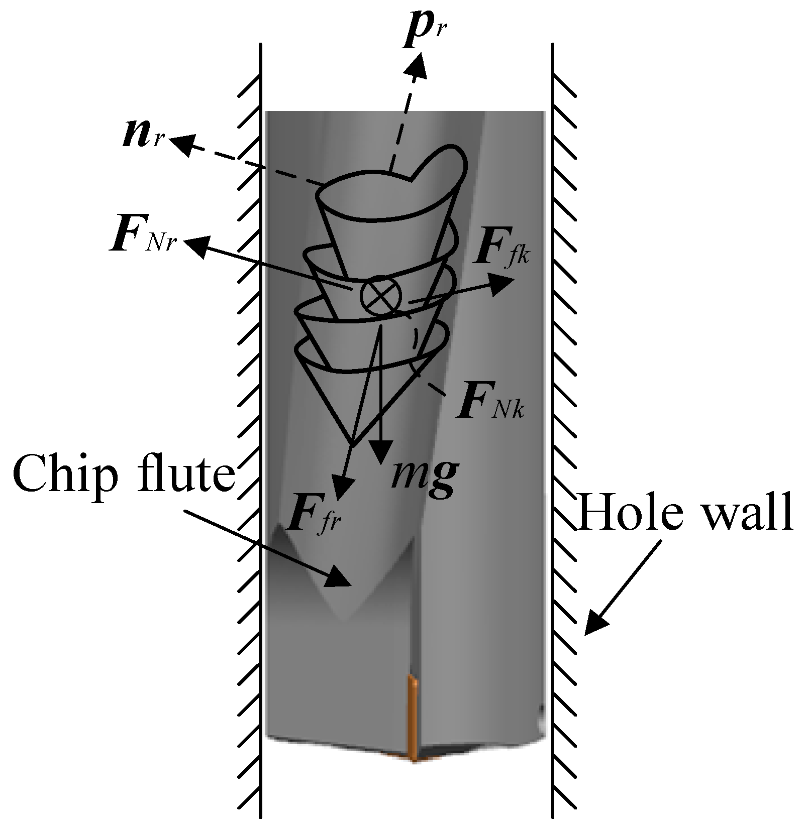 Coatings 16 00346 g003