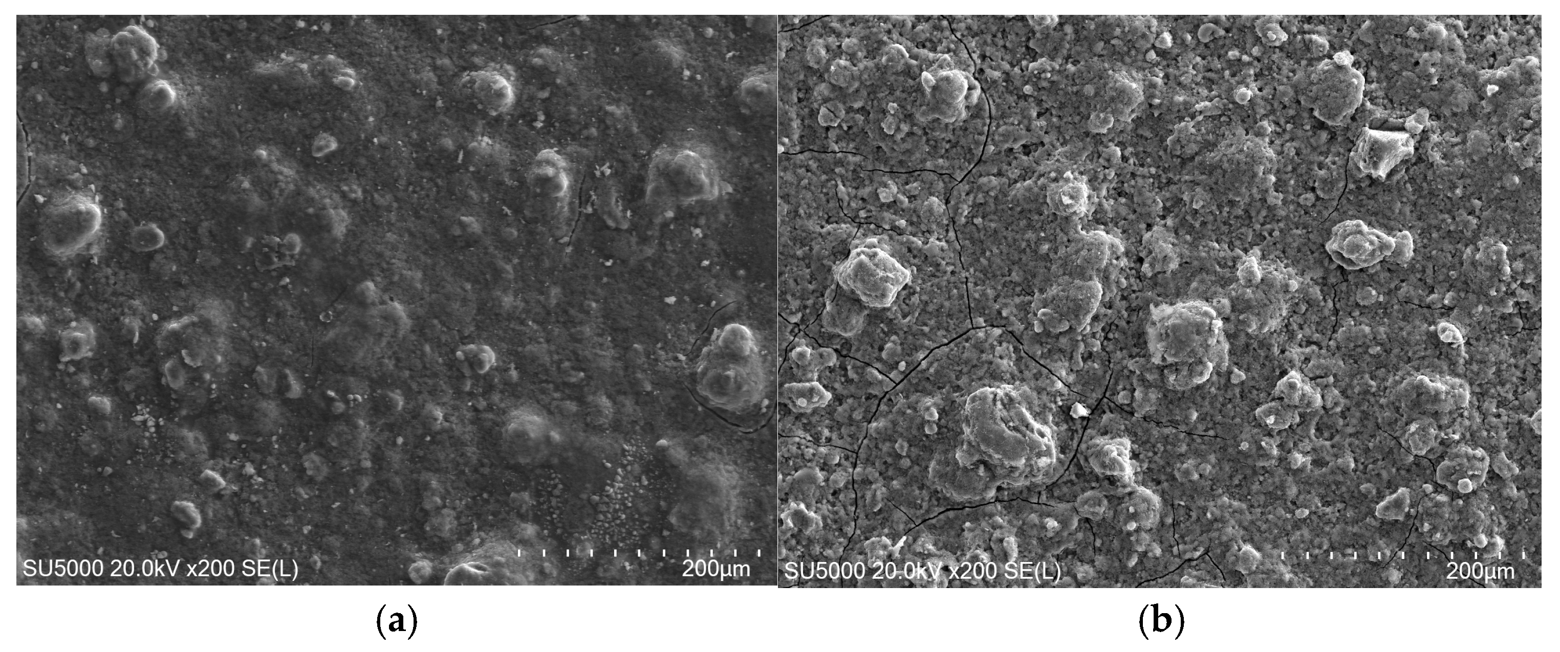 Coatings 16 00356 g006 Coatings 16 00356 g006