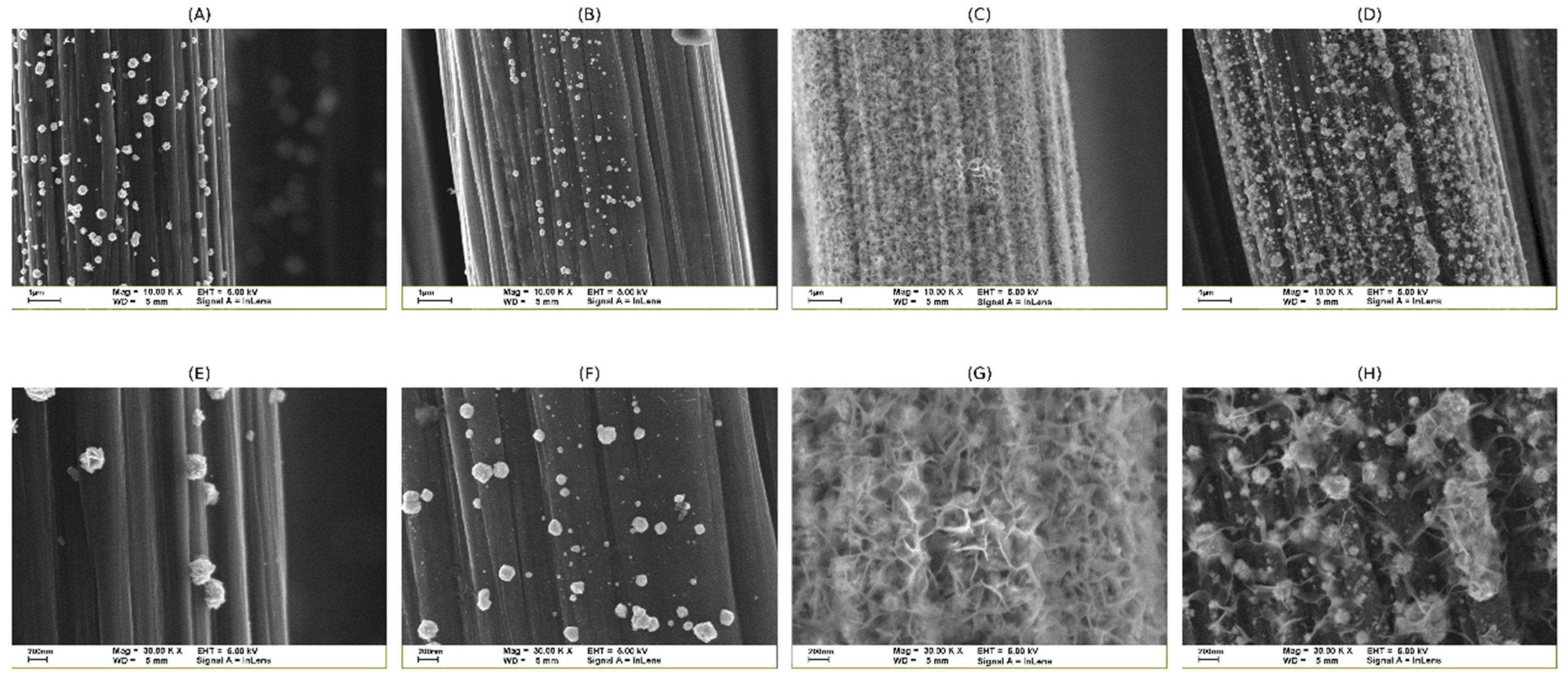 Coatings 16 00357 g001 Coatings 16 00357 g001