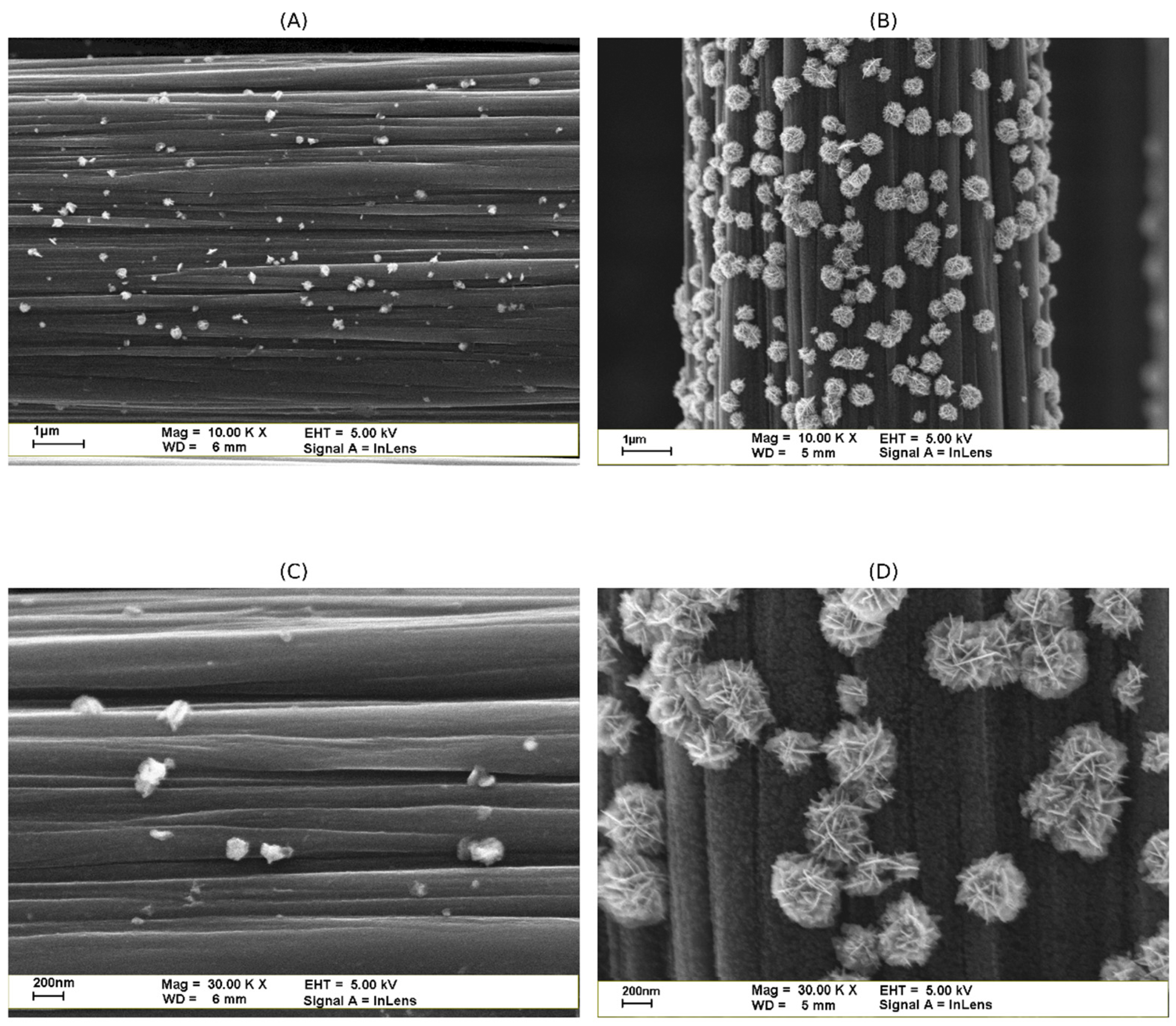 Coatings 16 00357 g002 Coatings 16 00357 g002