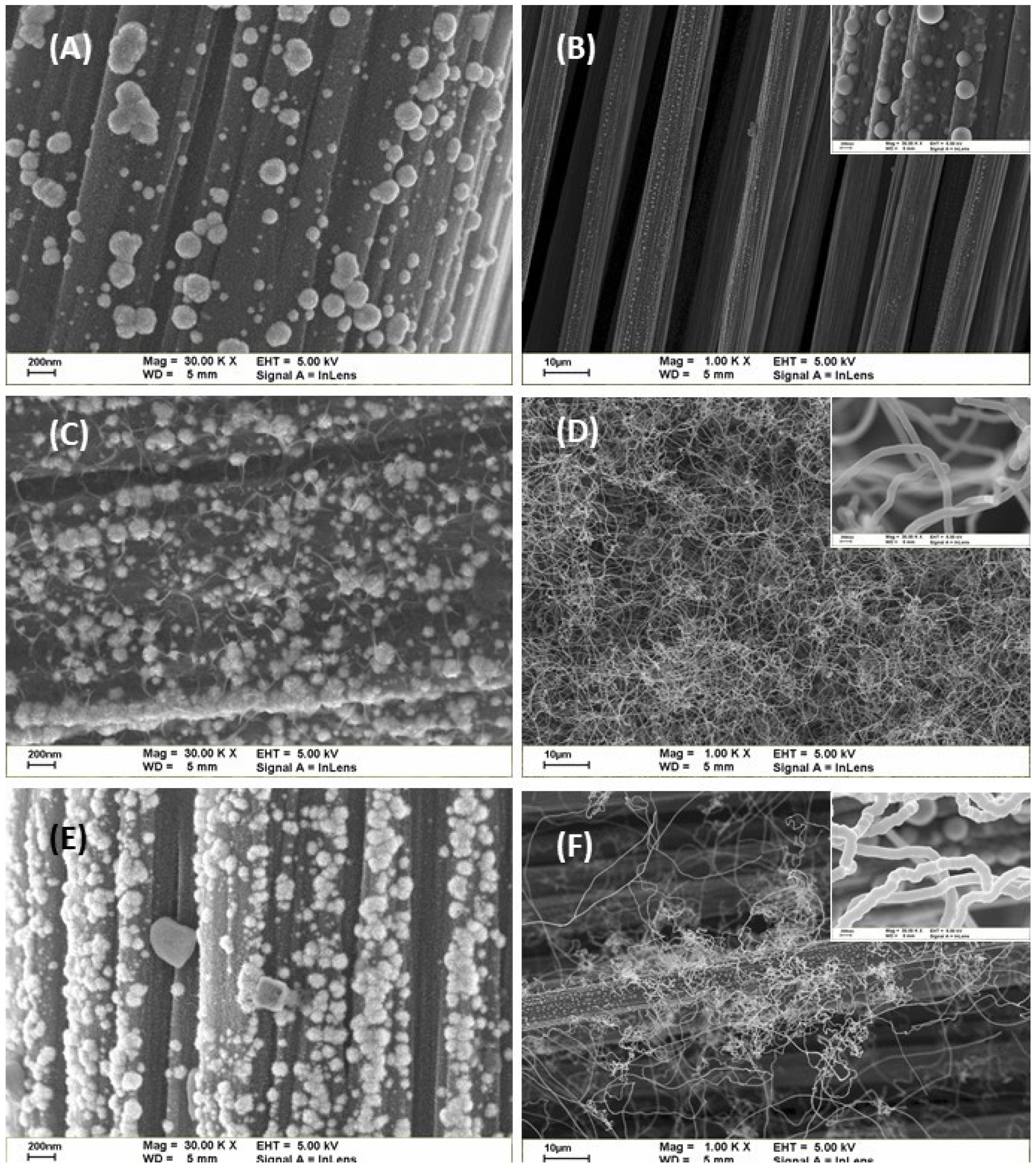 Coatings 16 00357 g006 Coatings 16 00357 g006