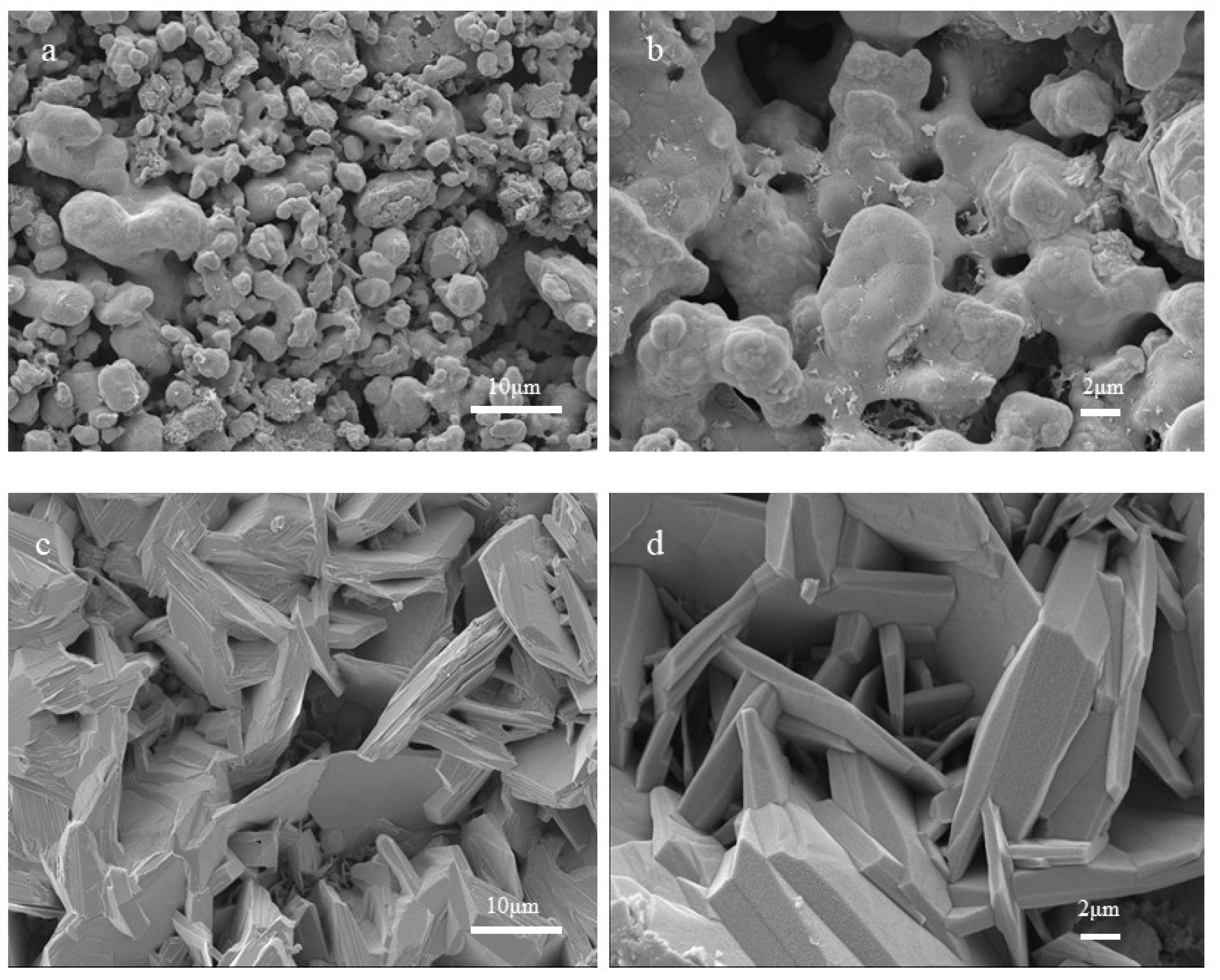 Coatings 16 00362 g003 Coatings 16 00362 g003