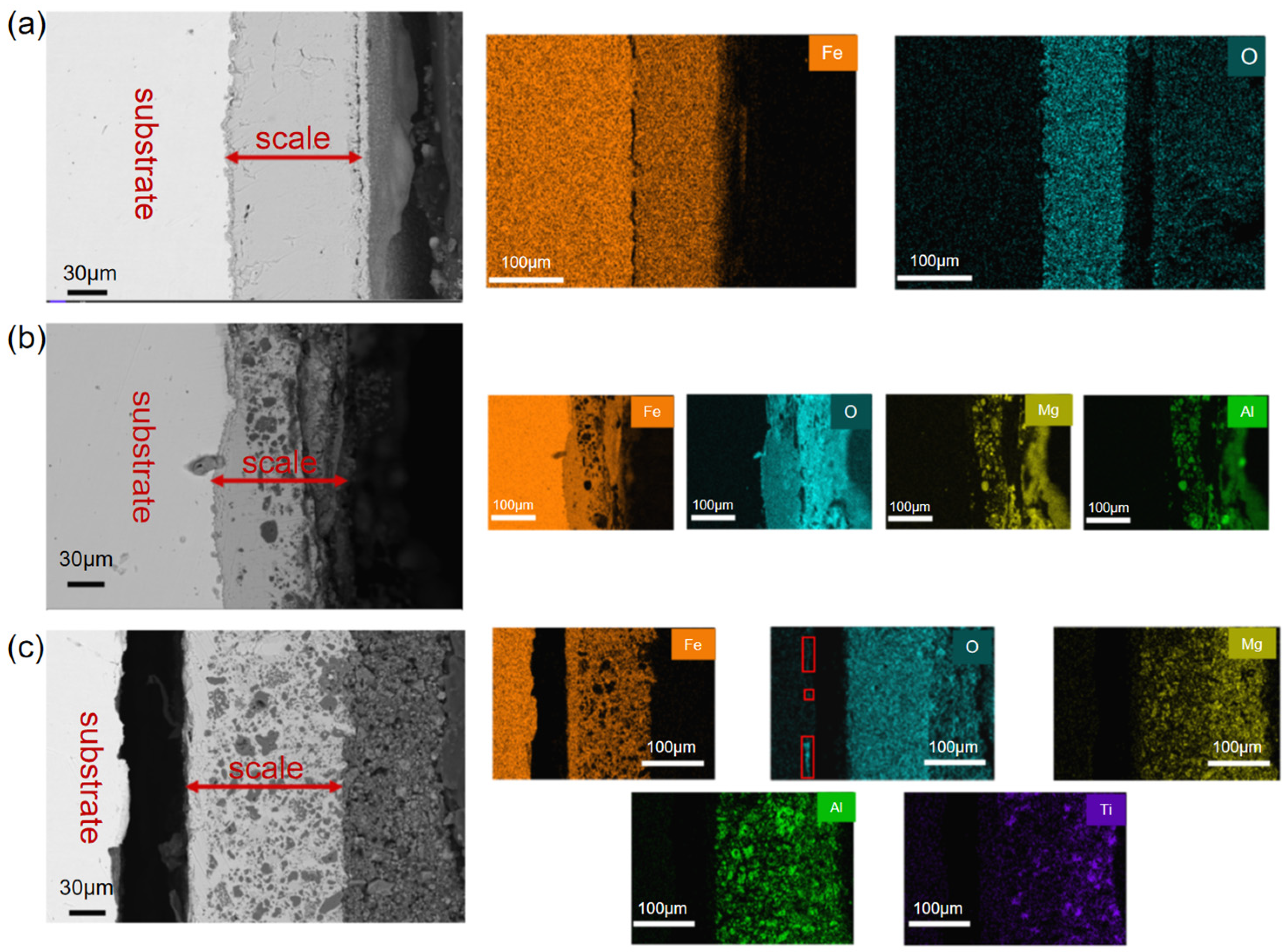 Coatings 16 00368 g004