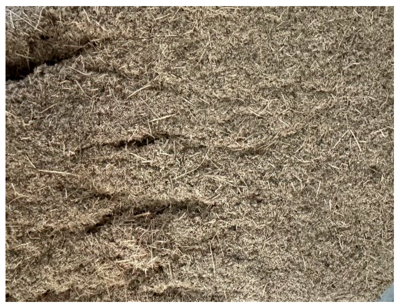 Coatings 16 00384 g002 Coatings 16 00384 g002