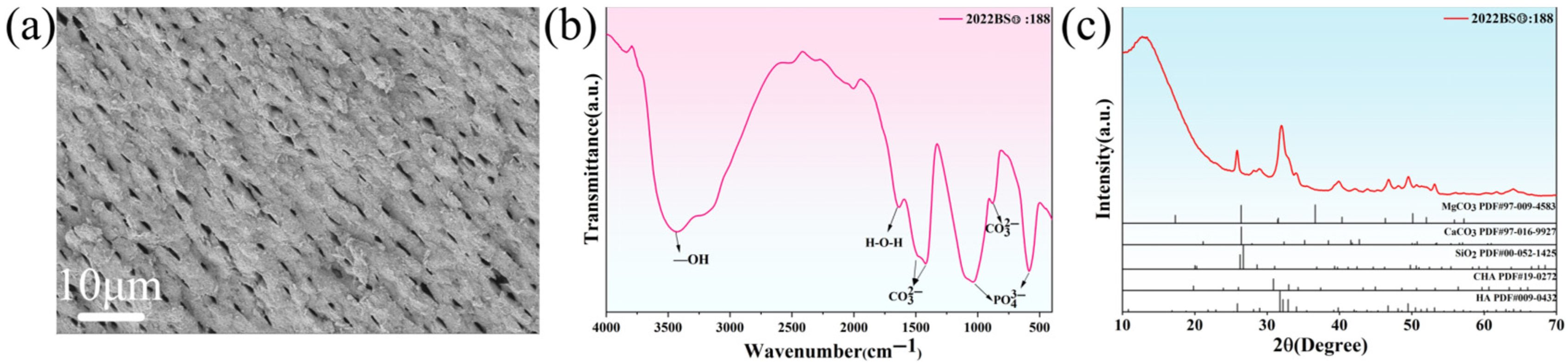 Coatings 16 00387 g002