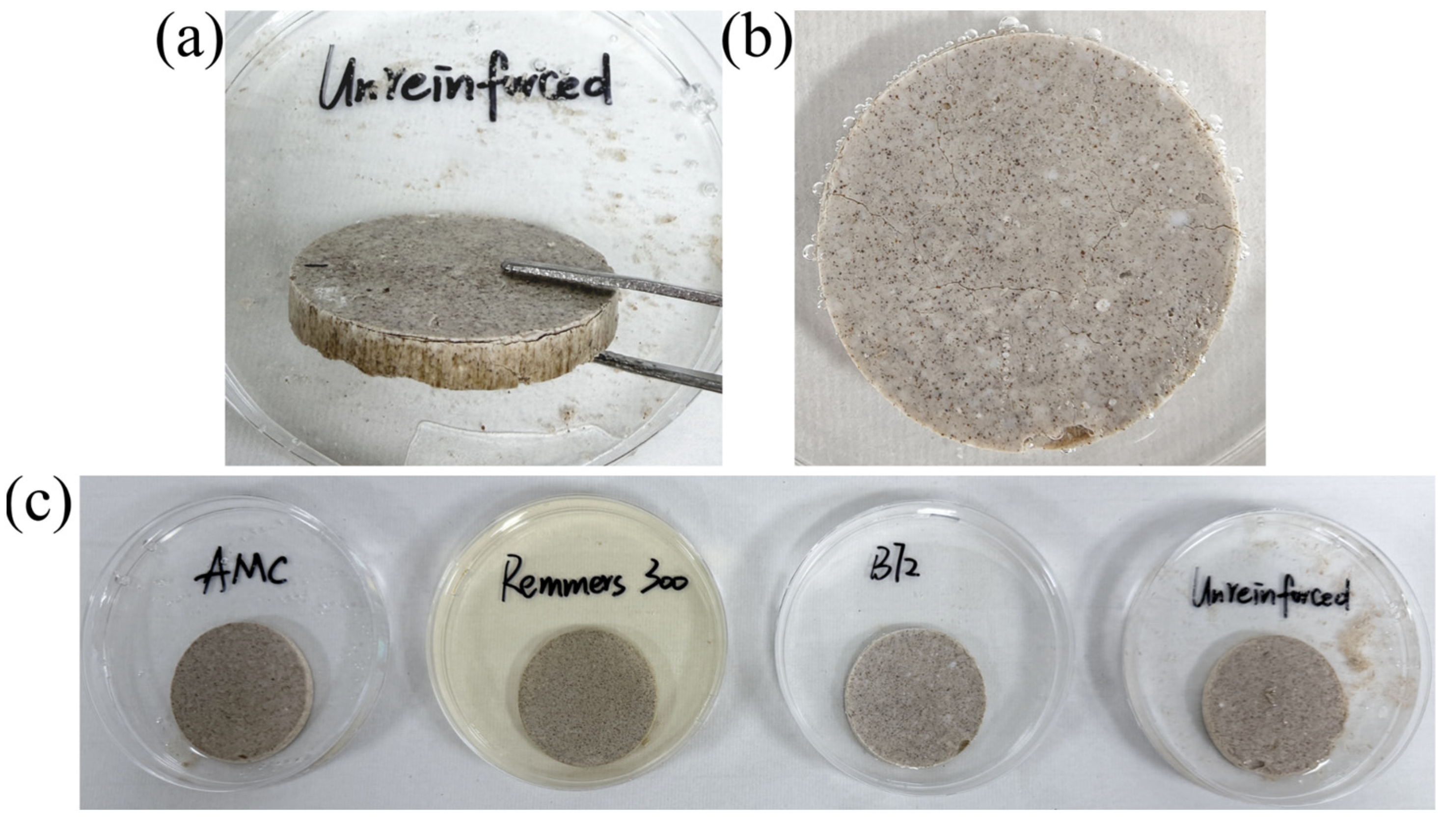 Coatings 16 00387 g012