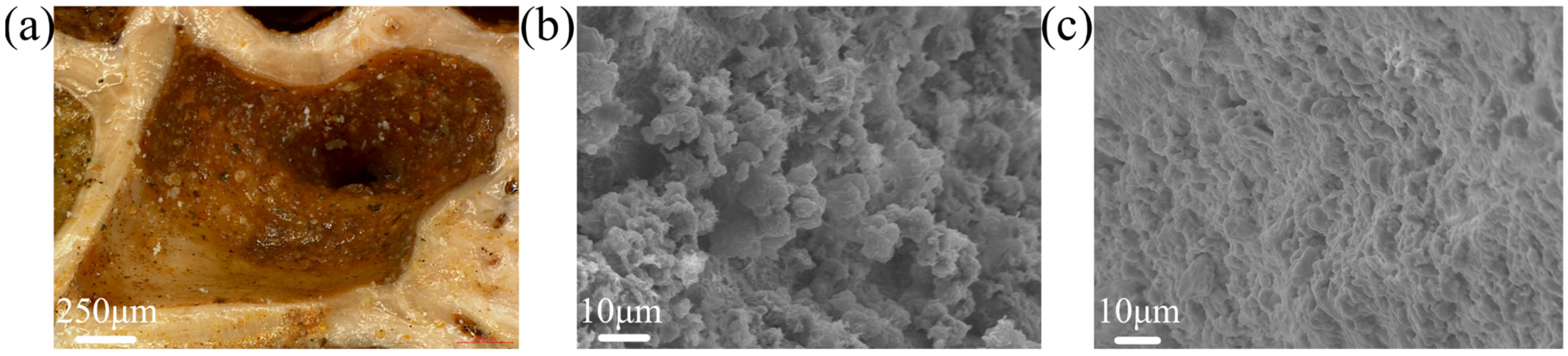 Coatings 16 00387 g014