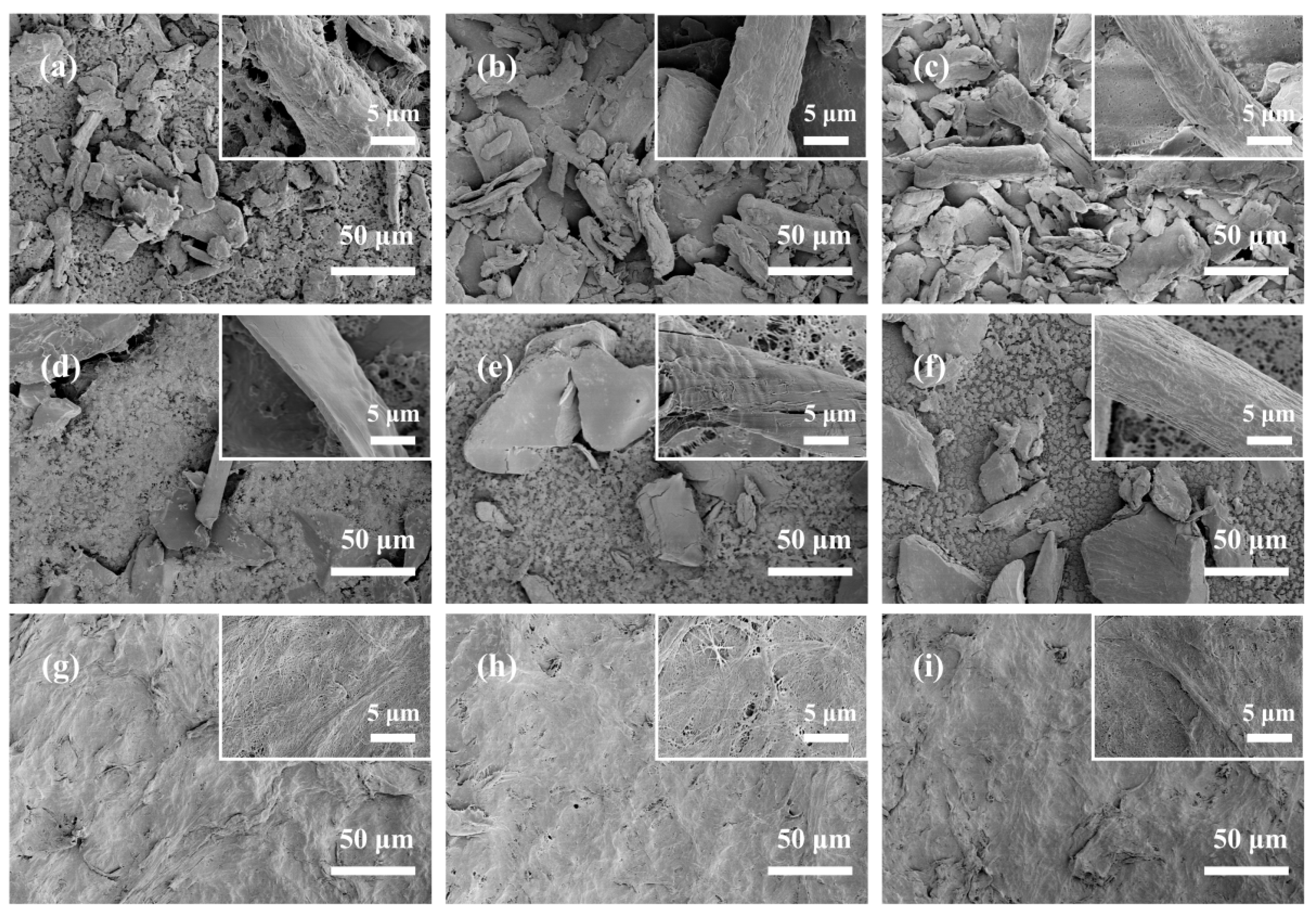 Coatings 16 00391 g002 Coatings 16 00391 g002
