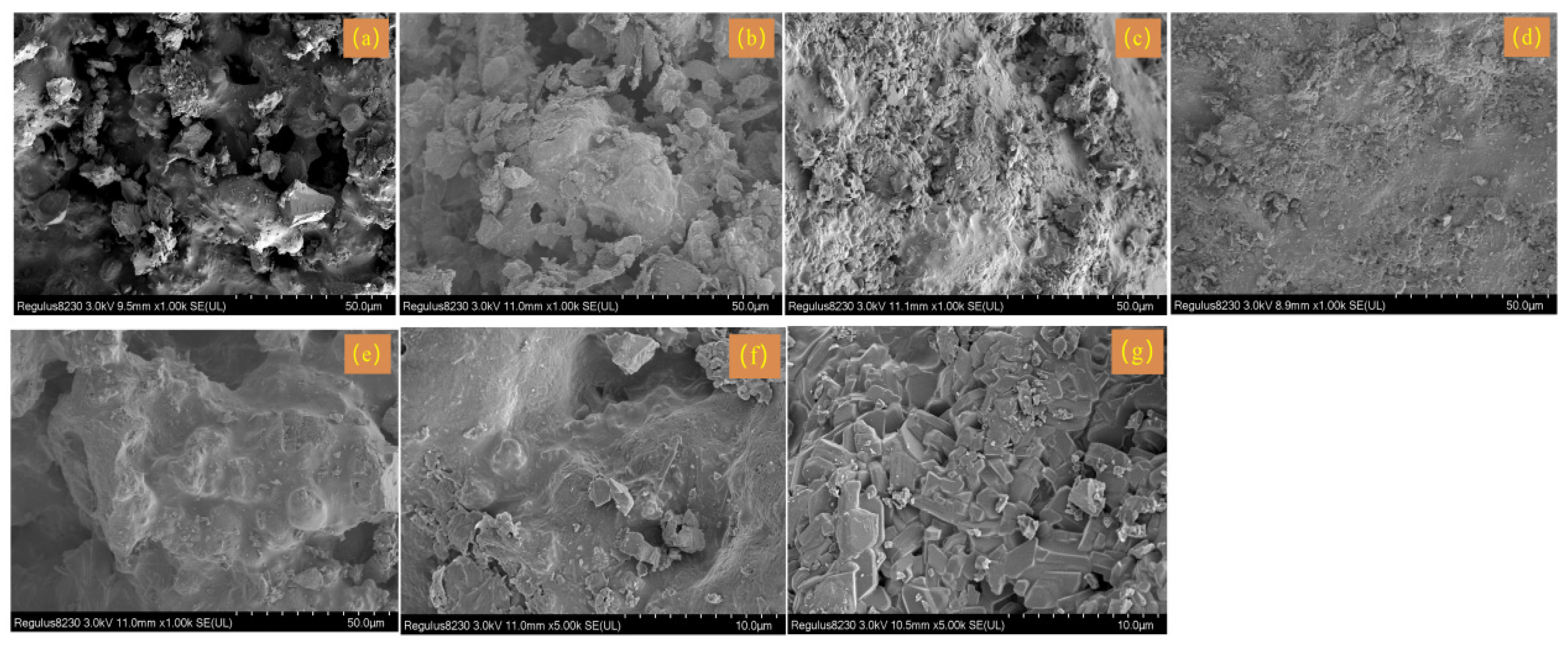 Coatings 16 00466 g003 Coatings 16 00466 g003