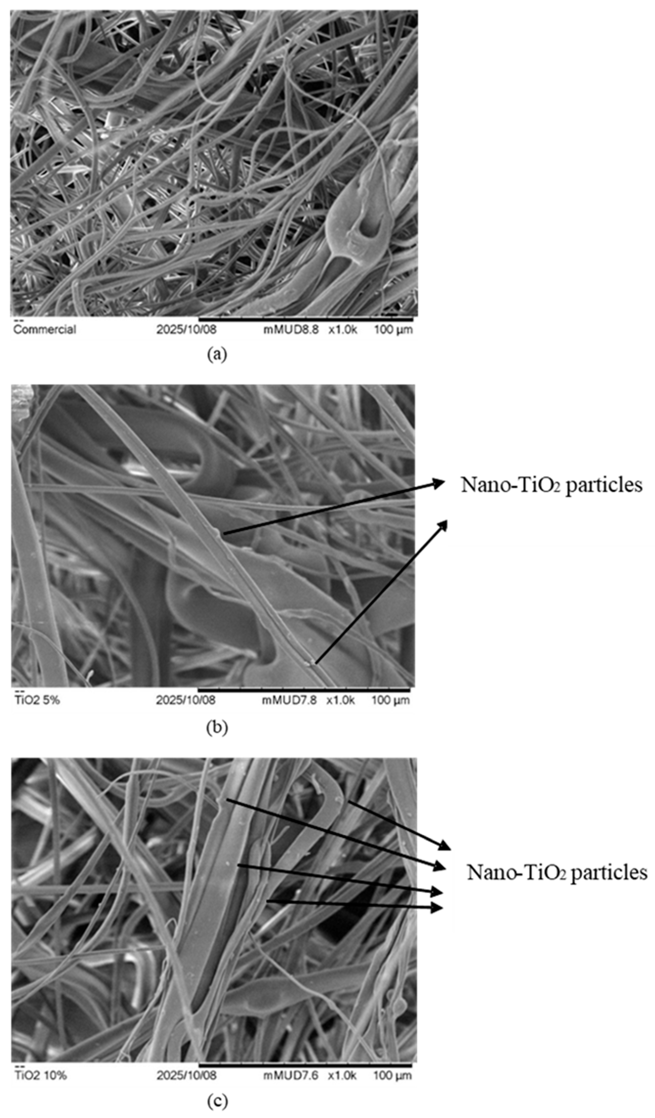 Coatings 16 00468 g004 Coatings 16 00468 g004
