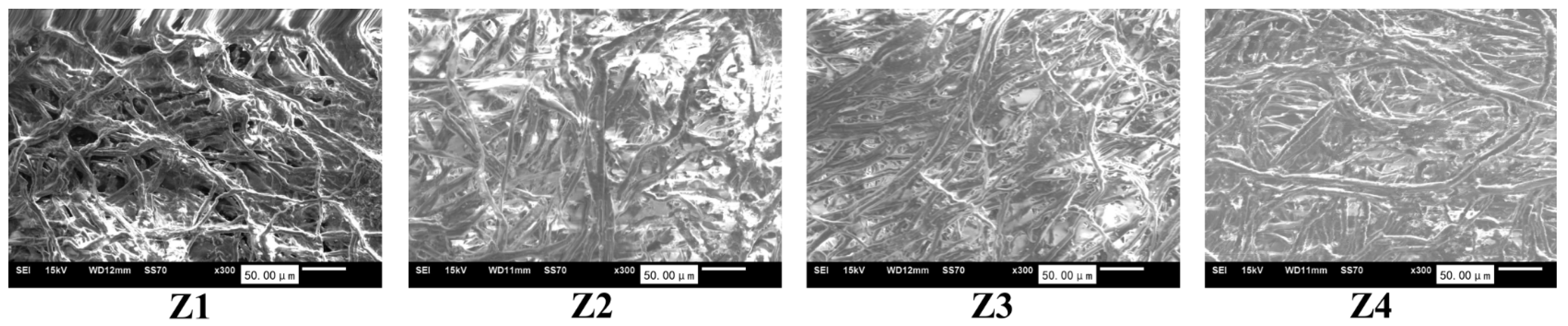 Coatings 16 00469 g002 Coatings 16 00469 g002