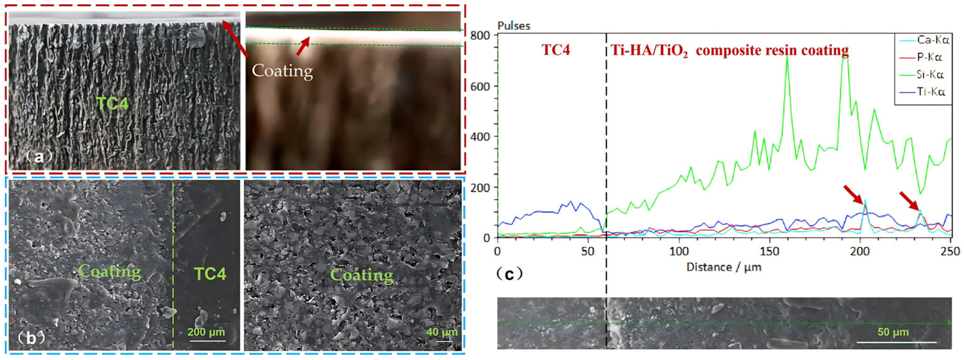 Coatings 16 00475 g004 Coatings 16 00475 g004