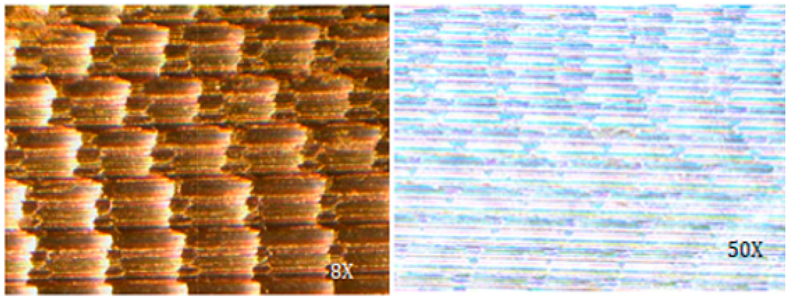 Coatings 16 00478 g006 Coatings 16 00478 g006