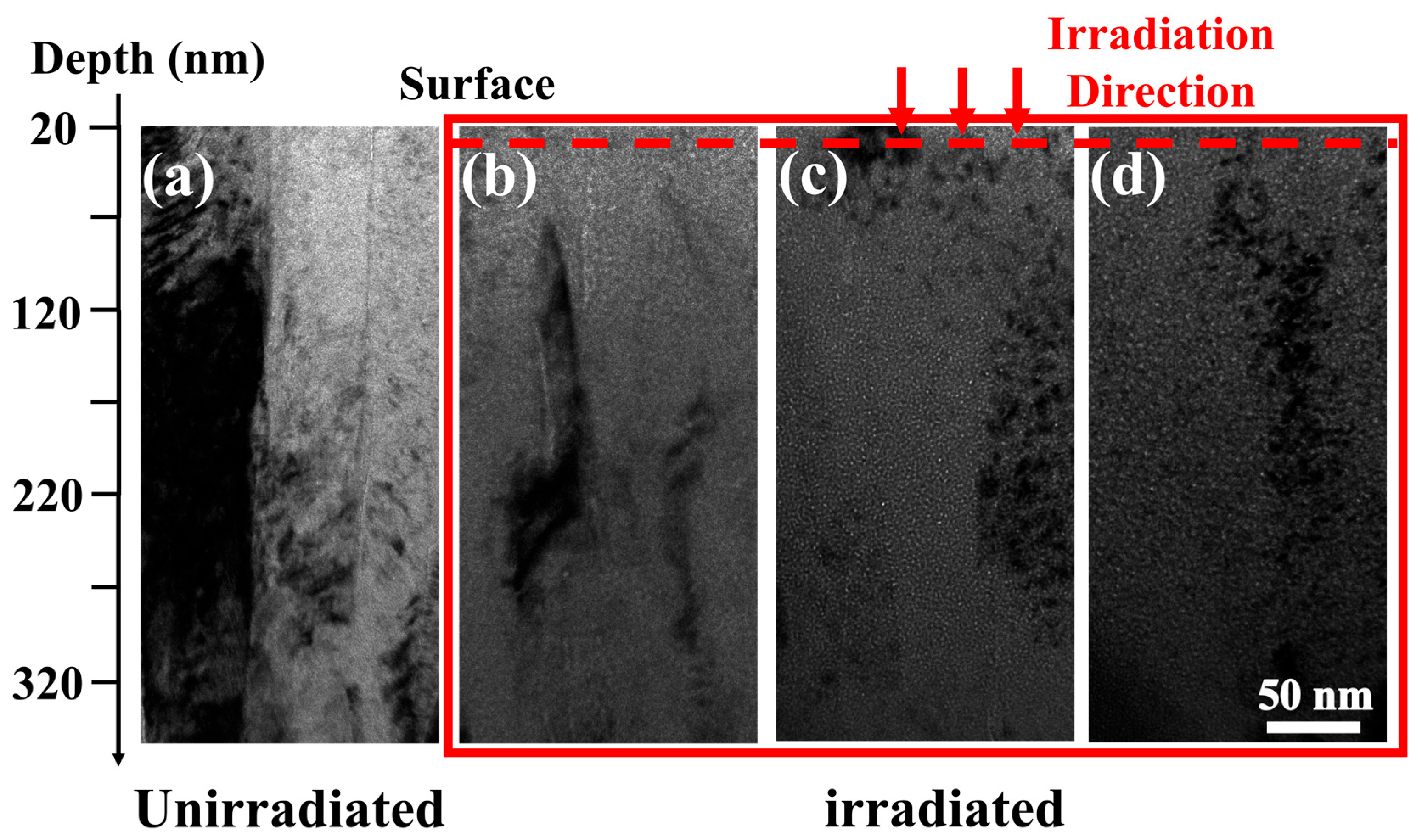 Coatings 16 00480 g003