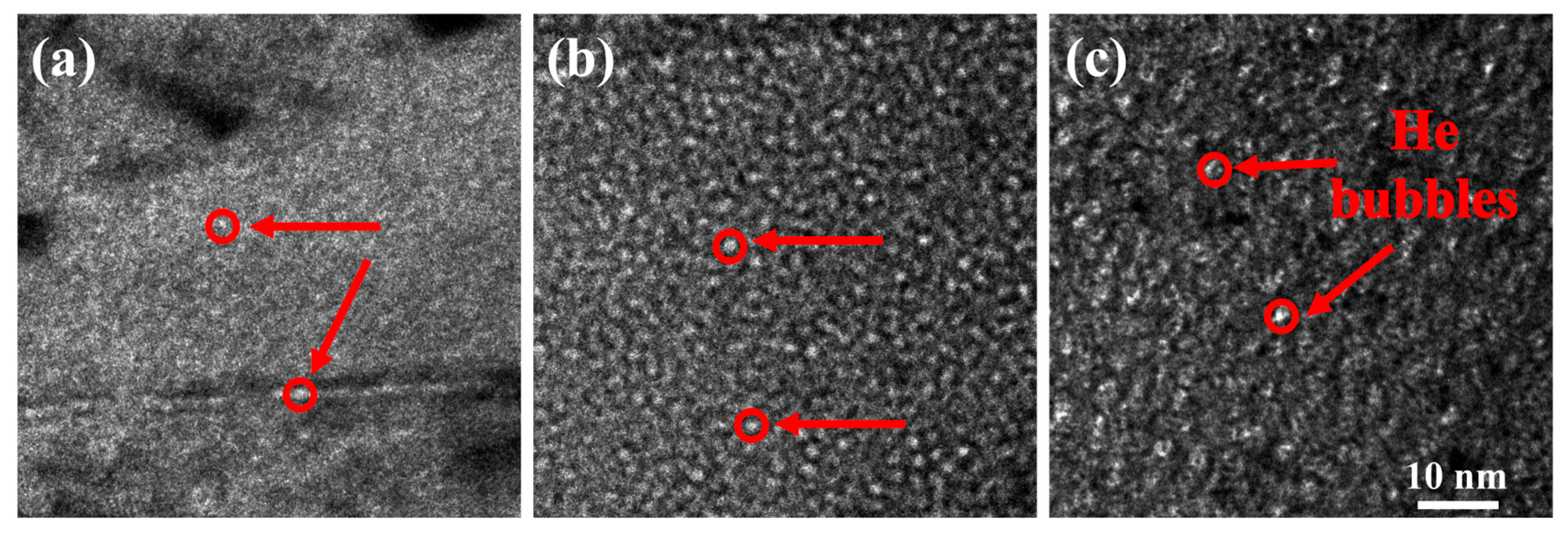 Coatings 16 00480 g004