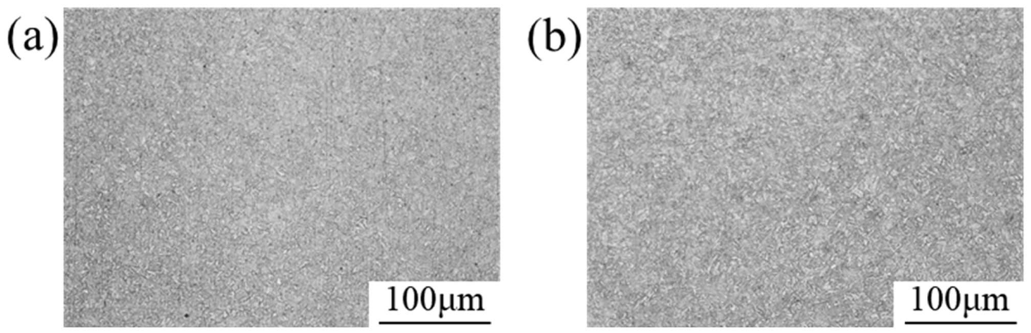 Coatings 16 00486 g003 Coatings 16 00486 g003