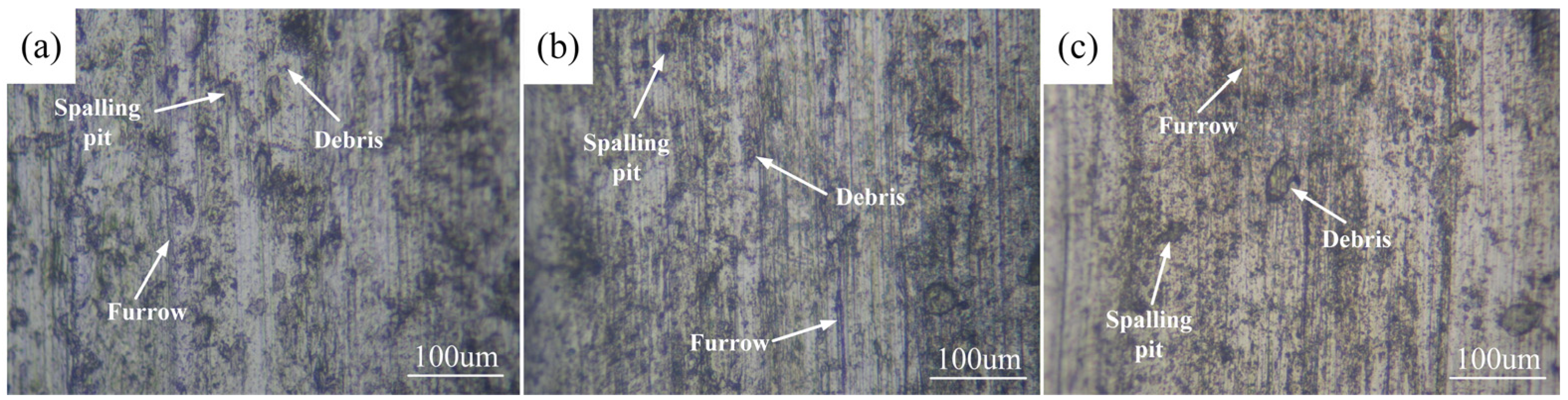 Coatings 16 00490 g011 Coatings 16 00490 g011