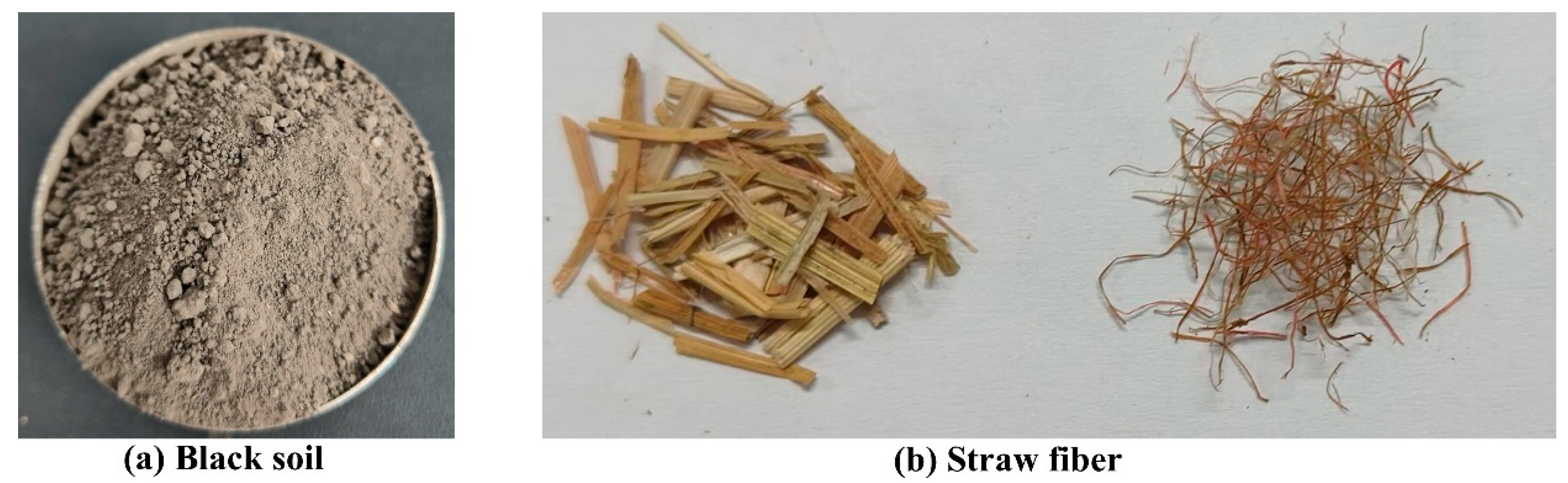 Coatings 16 00557 g001