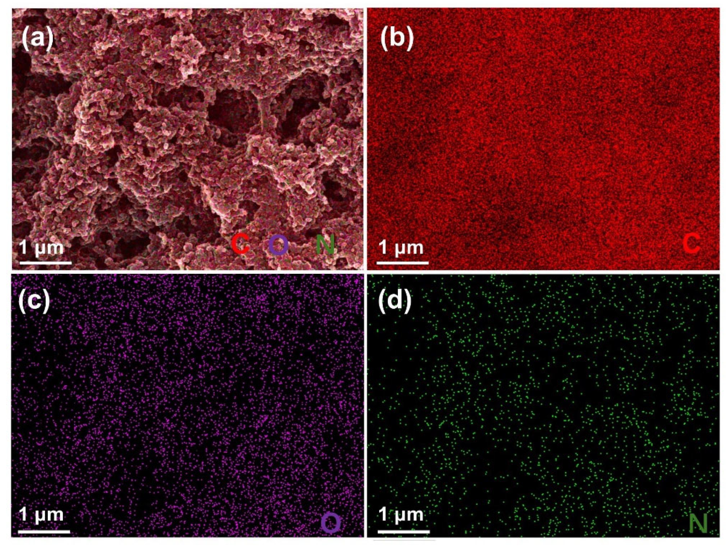 Coatings 16 00635 g005 Coatings 16 00635 g005