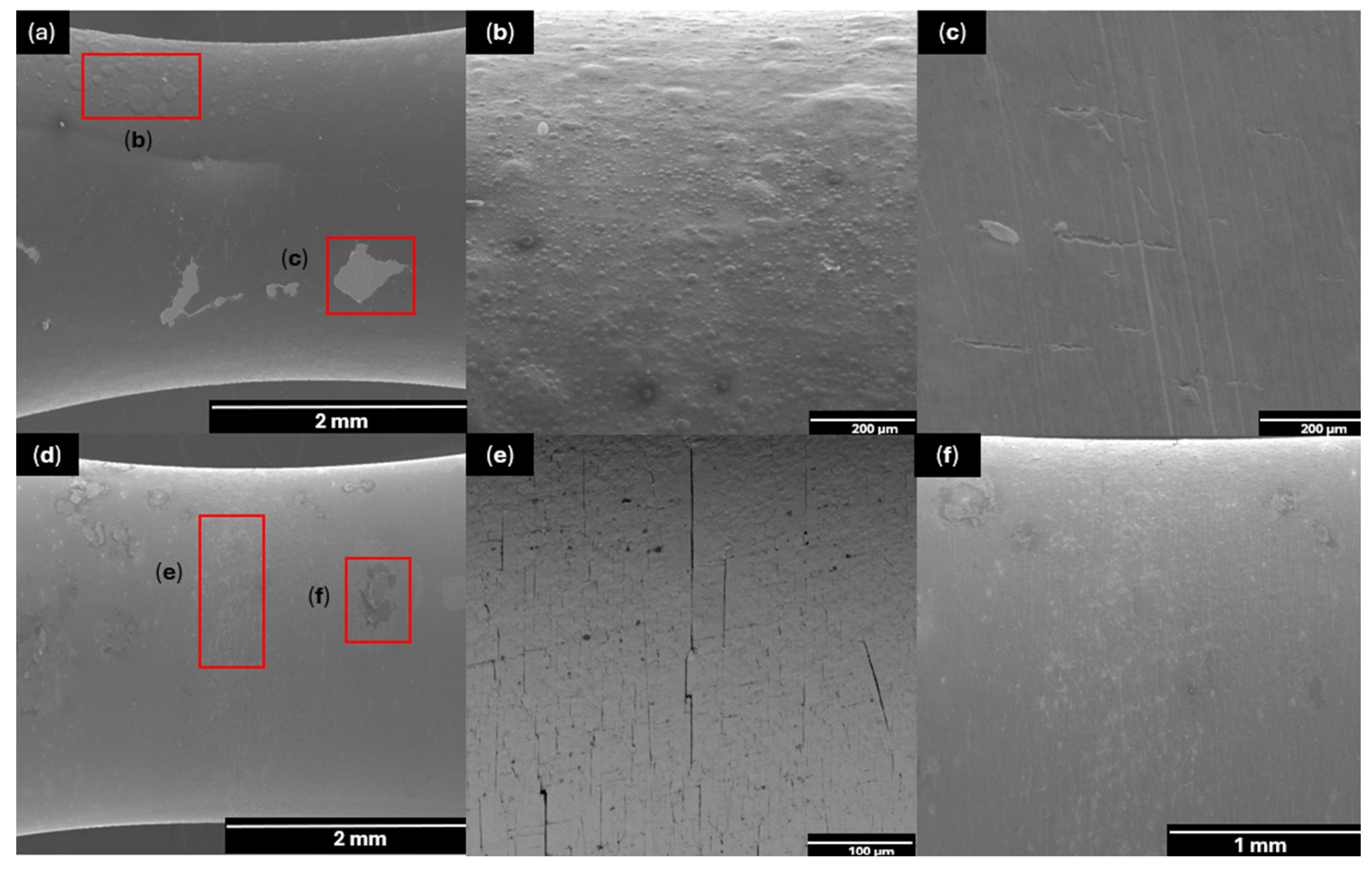 Coatings 16 00647 g007 Coatings 16 00647 g007