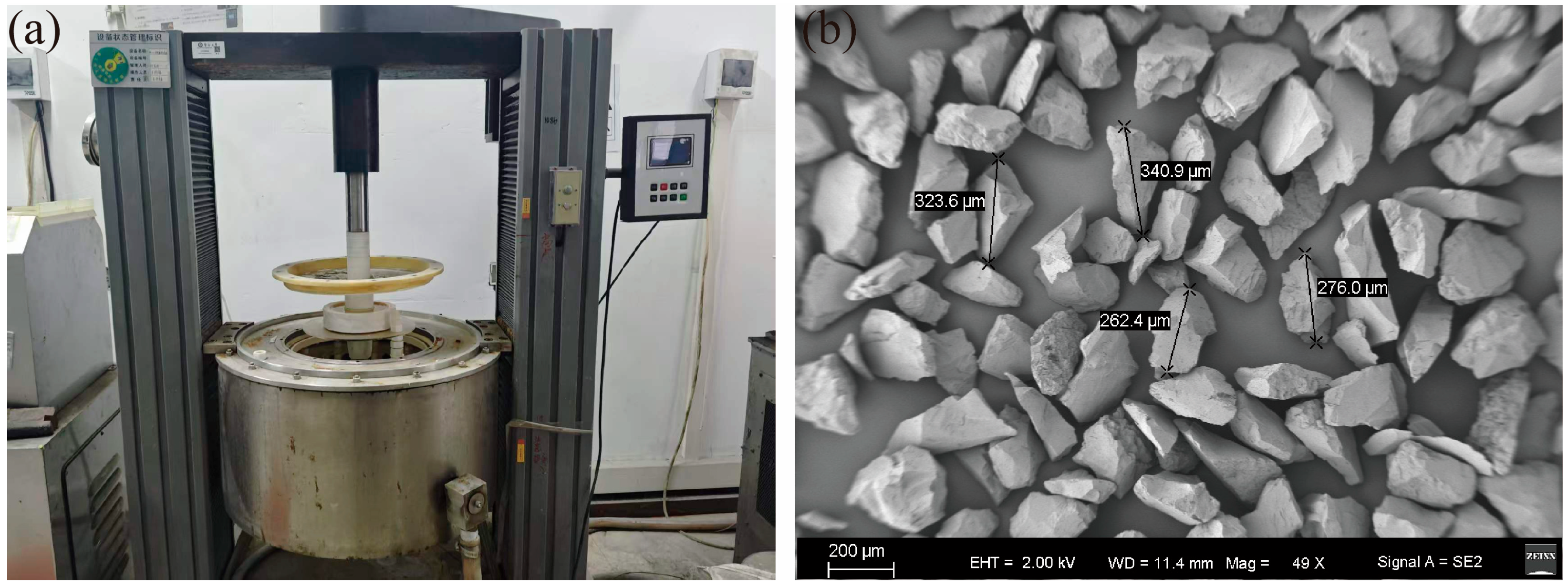 Coatings 16 00653 g002 Coatings 16 00653 g002