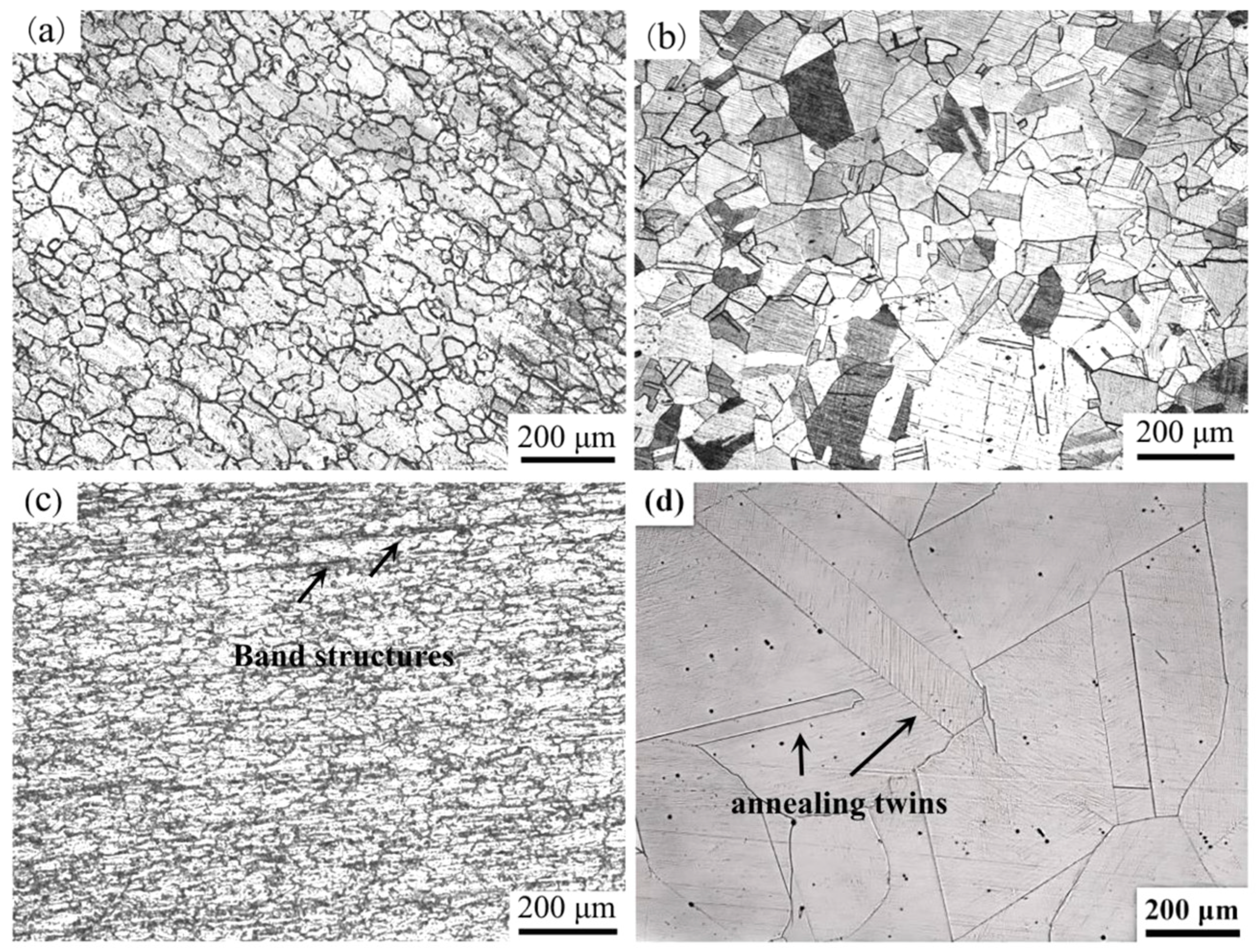 Coatings 16 00662 g001
