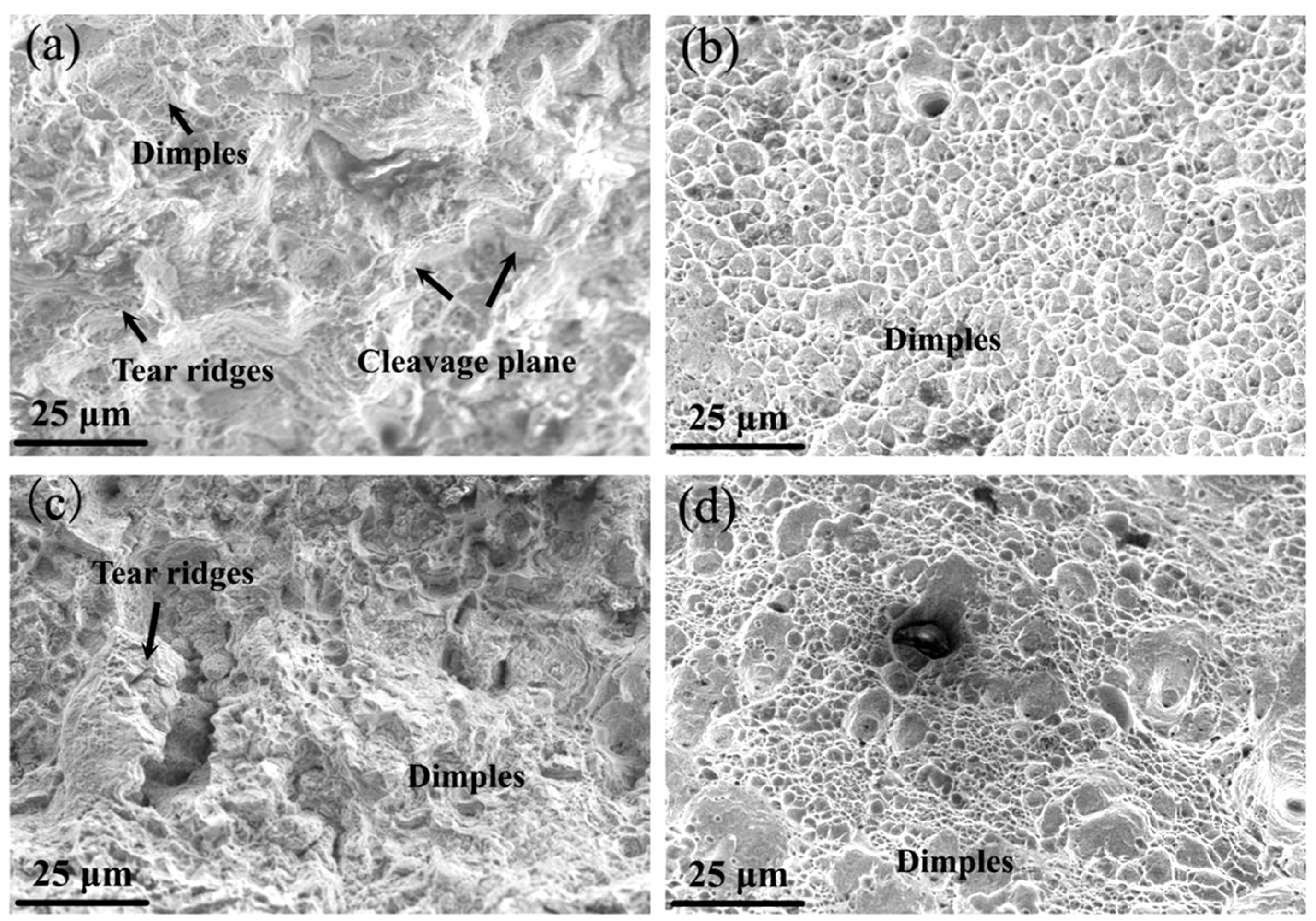 Coatings 16 00662 g005