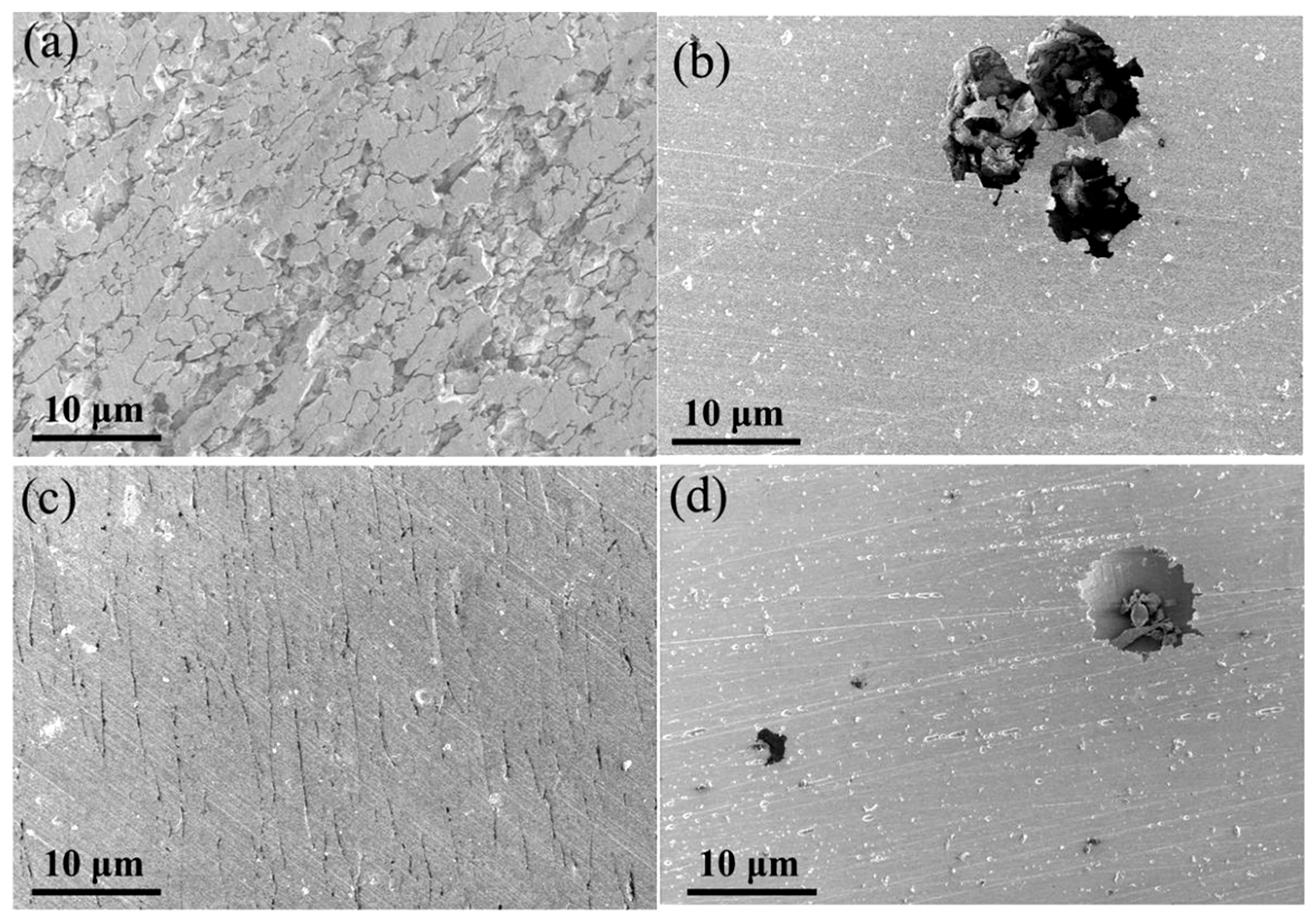 Coatings 16 00662 g008
