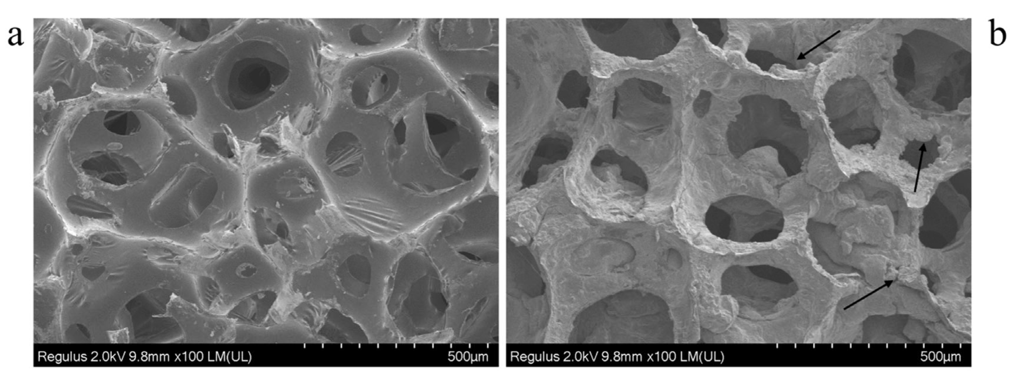 Coatings 16 00663 g003