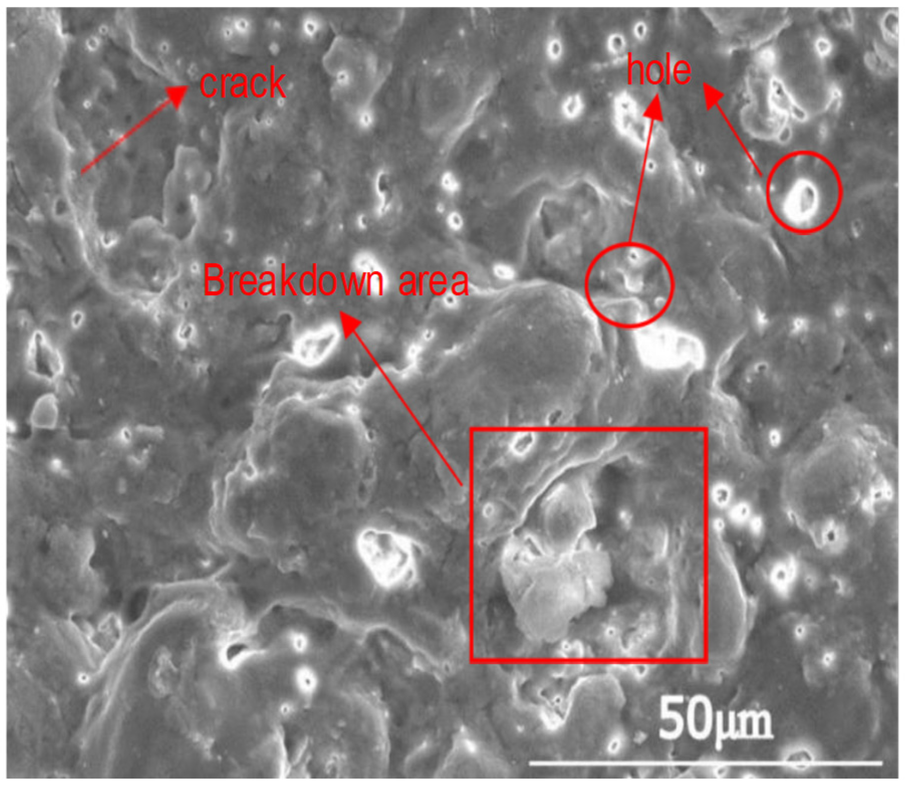 Coatings 16 00709 g006