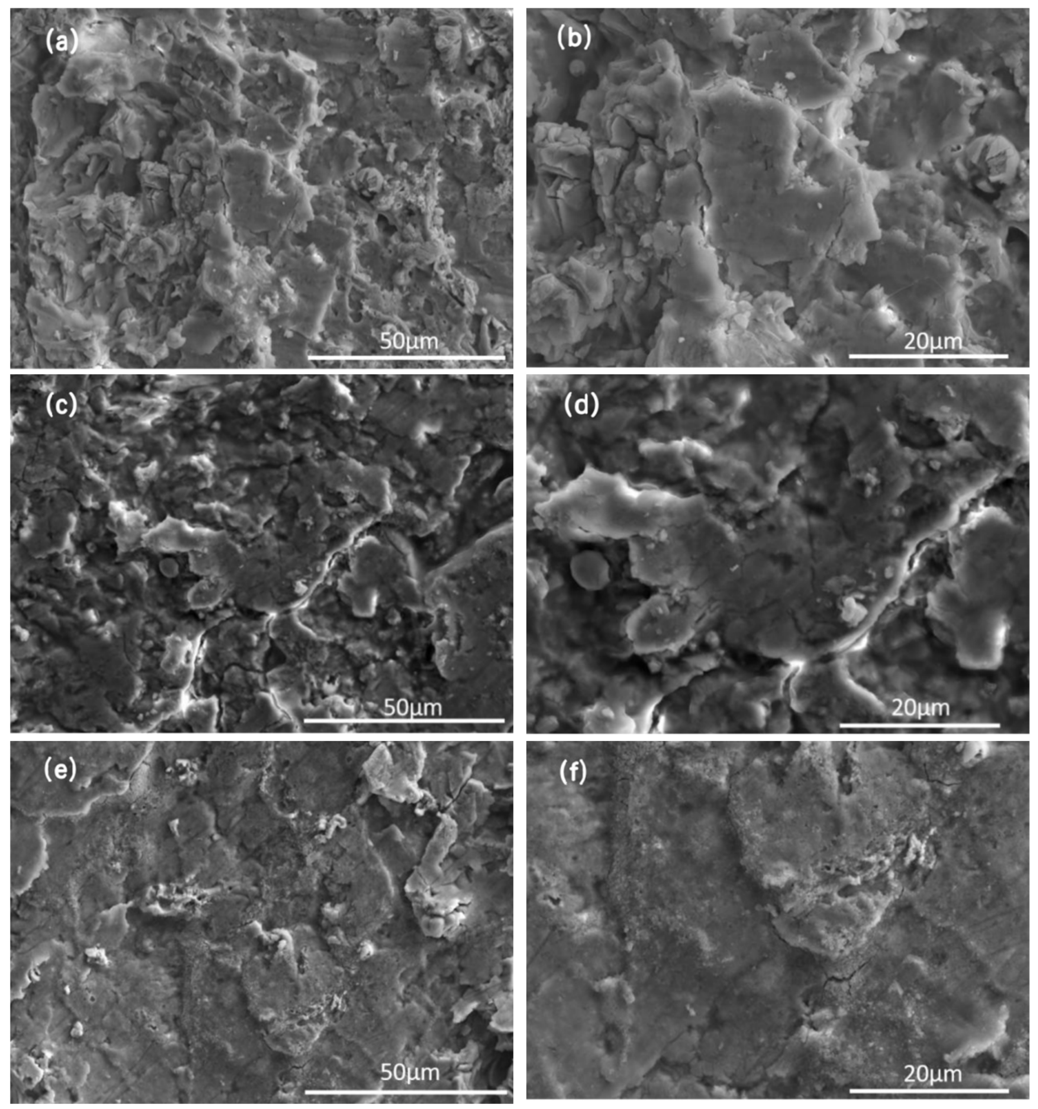 Coatings 16 00709 g007a