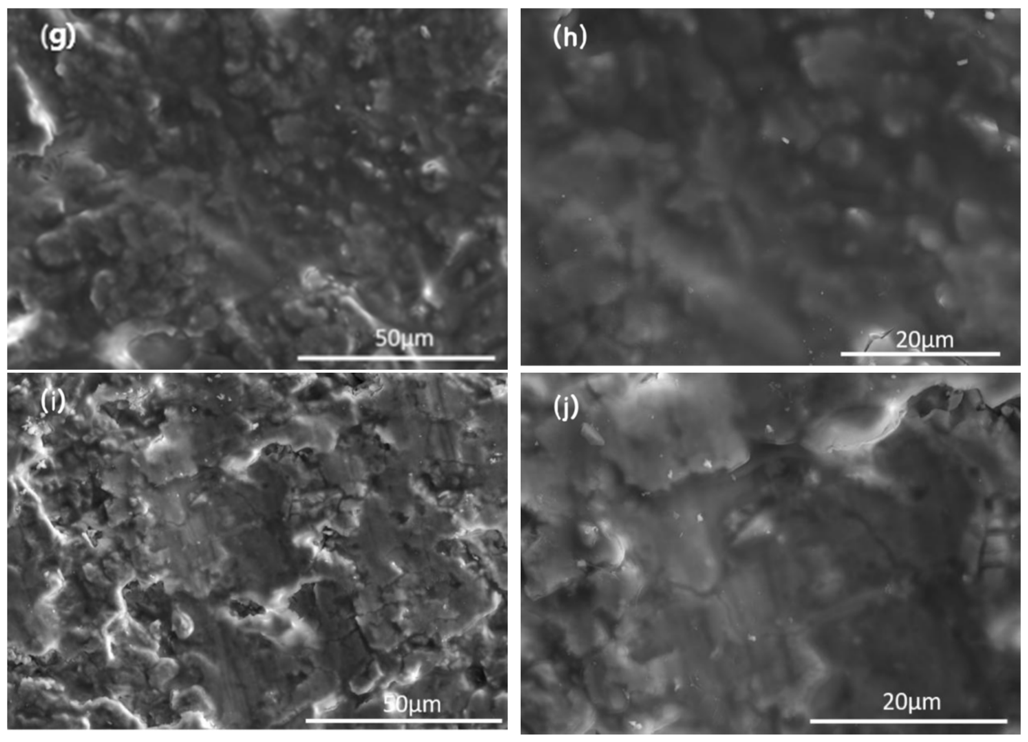 Coatings 16 00709 g007b