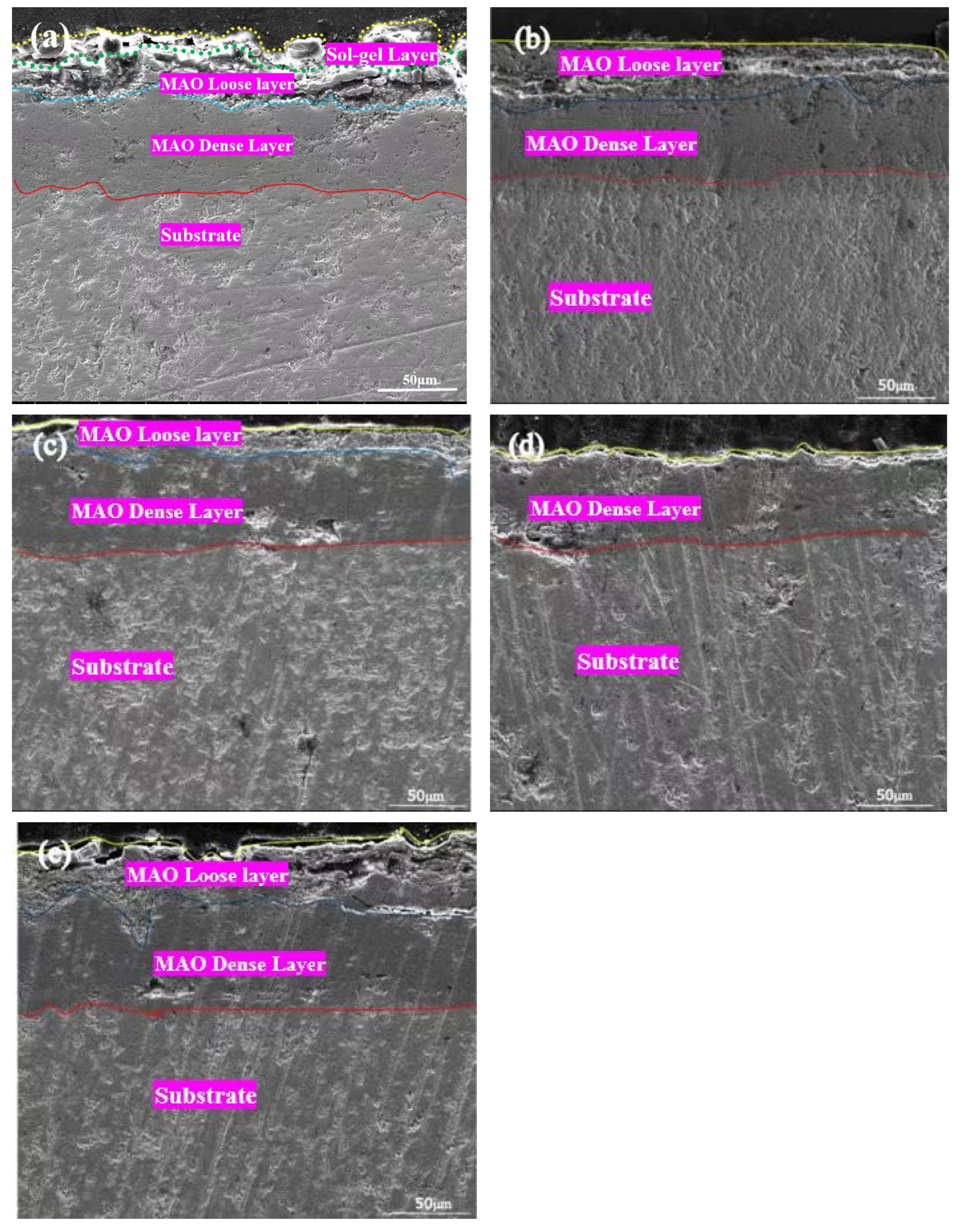 Coatings 16 00709 g009