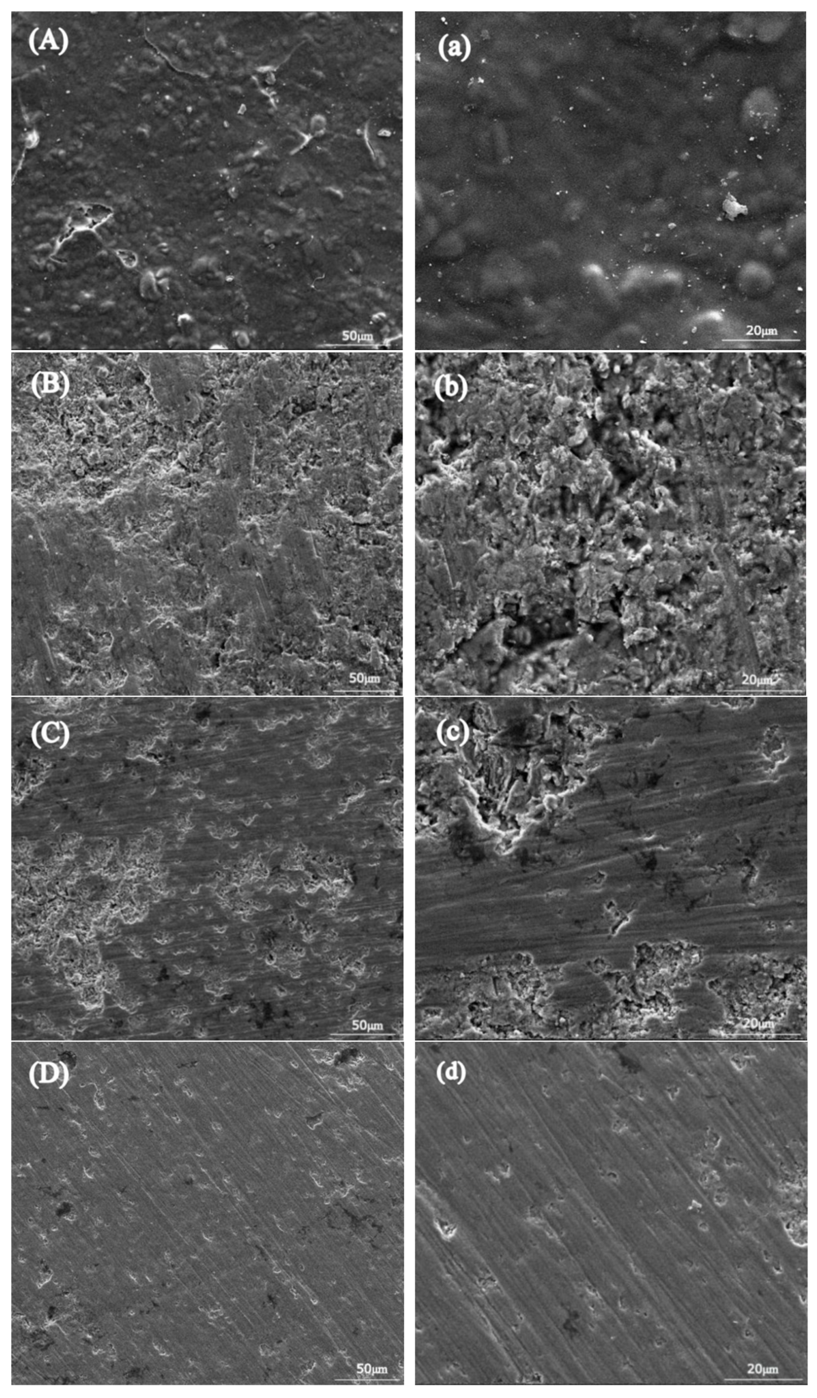 Coatings 16 00709 g015