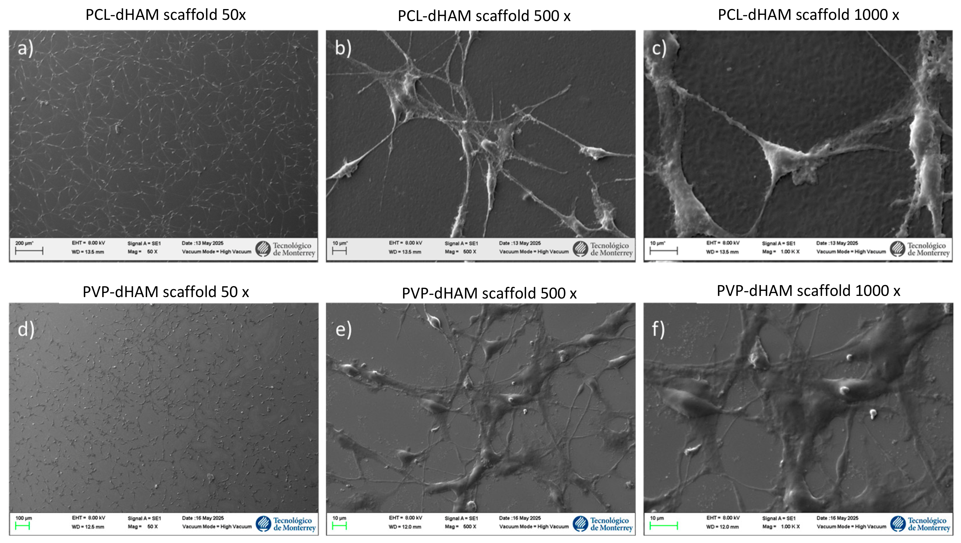 Coatings 16 00719 g009 Coatings 16 00719 g009