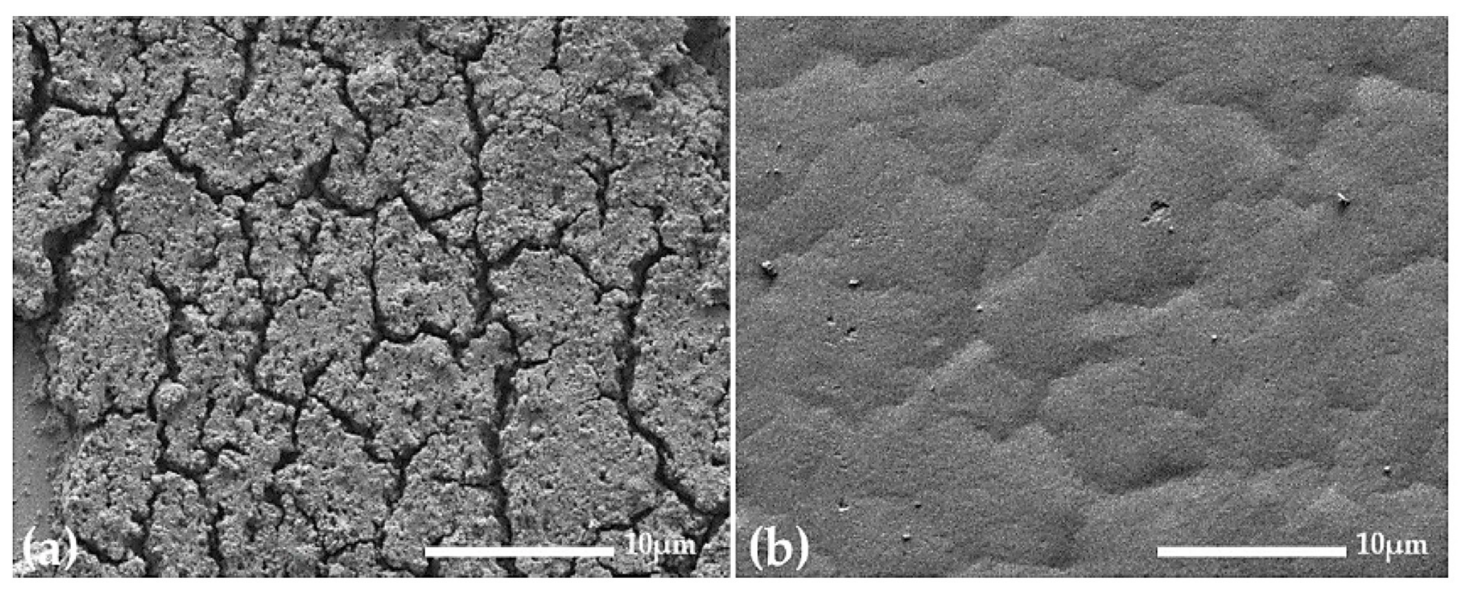 Coatings 16 00786 g009 Coatings 16 00786 g009