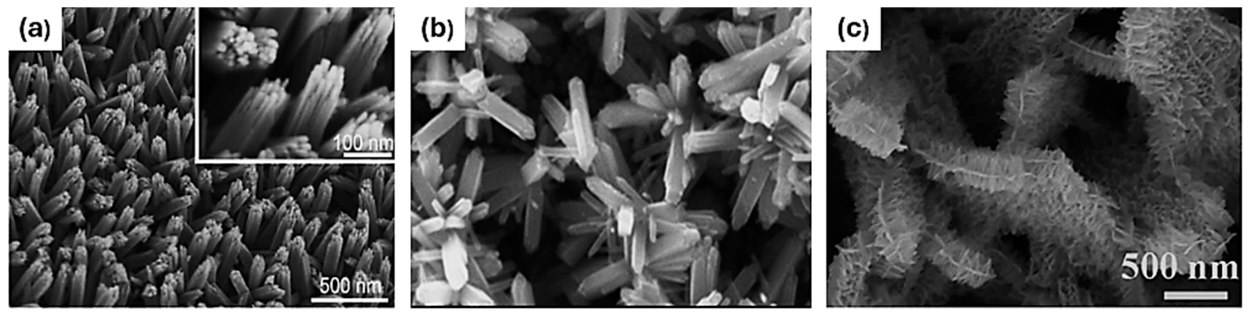 Coatings 16 00786 g011 Coatings 16 00786 g011