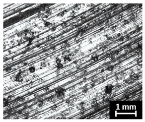 Coatings 16 00823 i002 Coatings 16 00823 i002