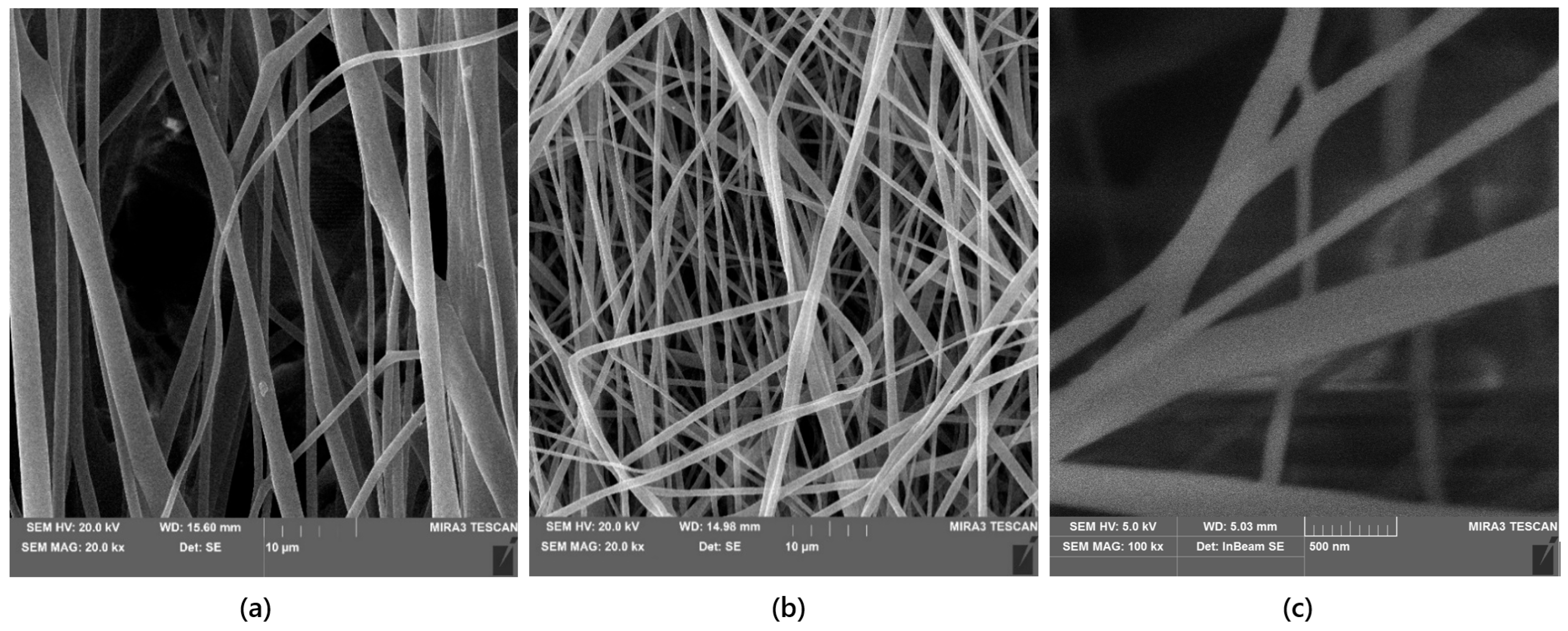 Coatings 16 00840 g007 Coatings 16 00840 g007