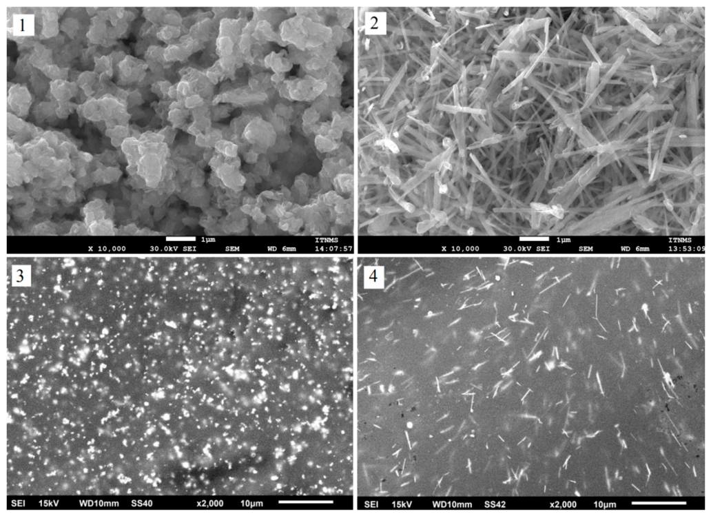 Coatings 16 00846 g002 Coatings 16 00846 g002