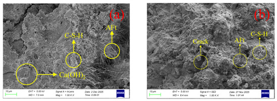 Coatings 16 00893 g011a Coatings 16 00893 g011a