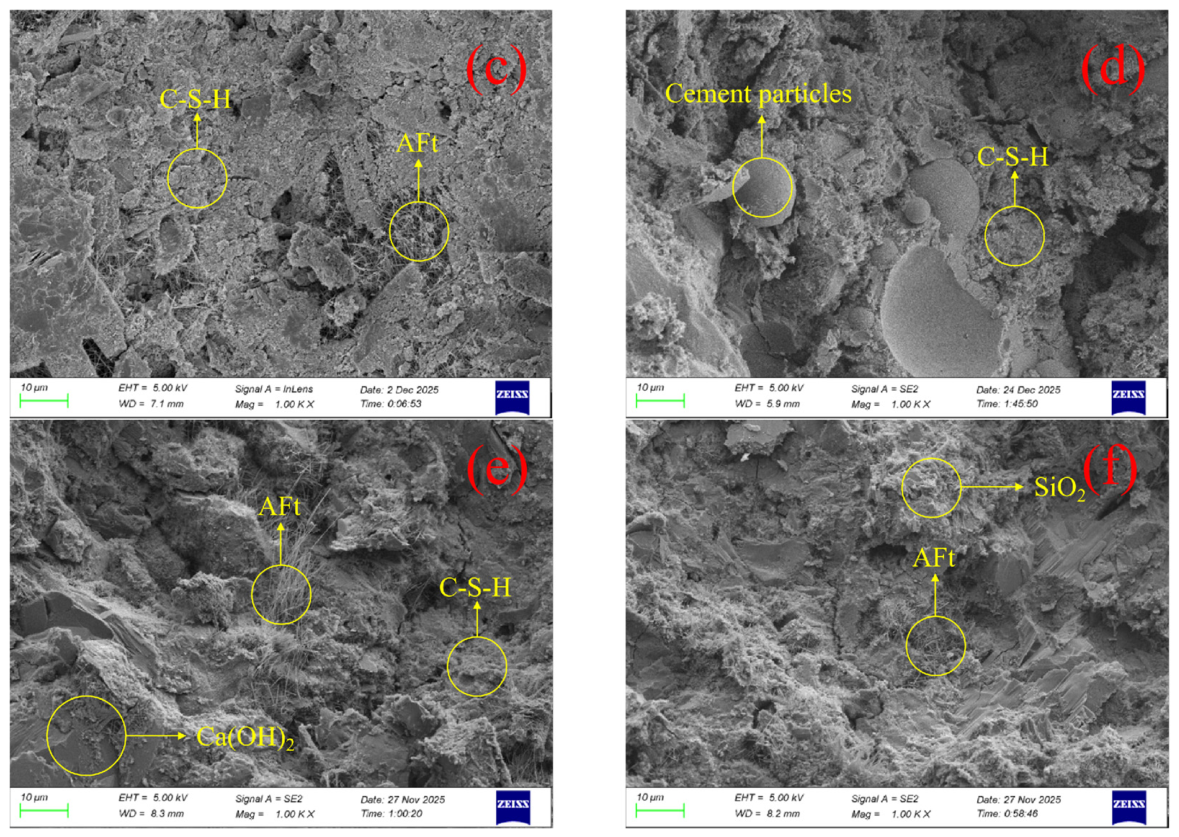 Coatings 16 00893 g011b Coatings 16 00893 g011b