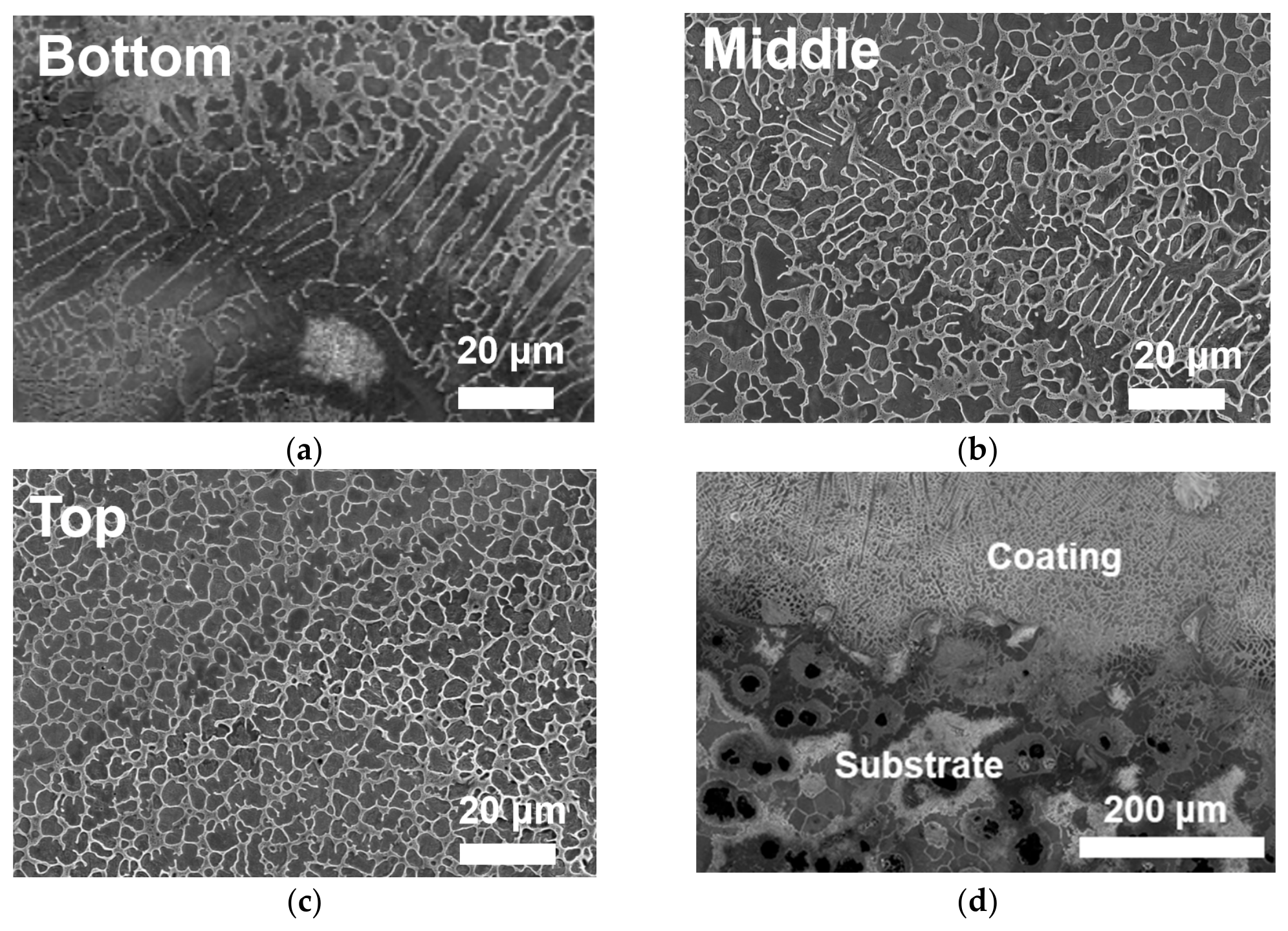 Coatings 16 00991 g007 Coatings 16 00991 g007