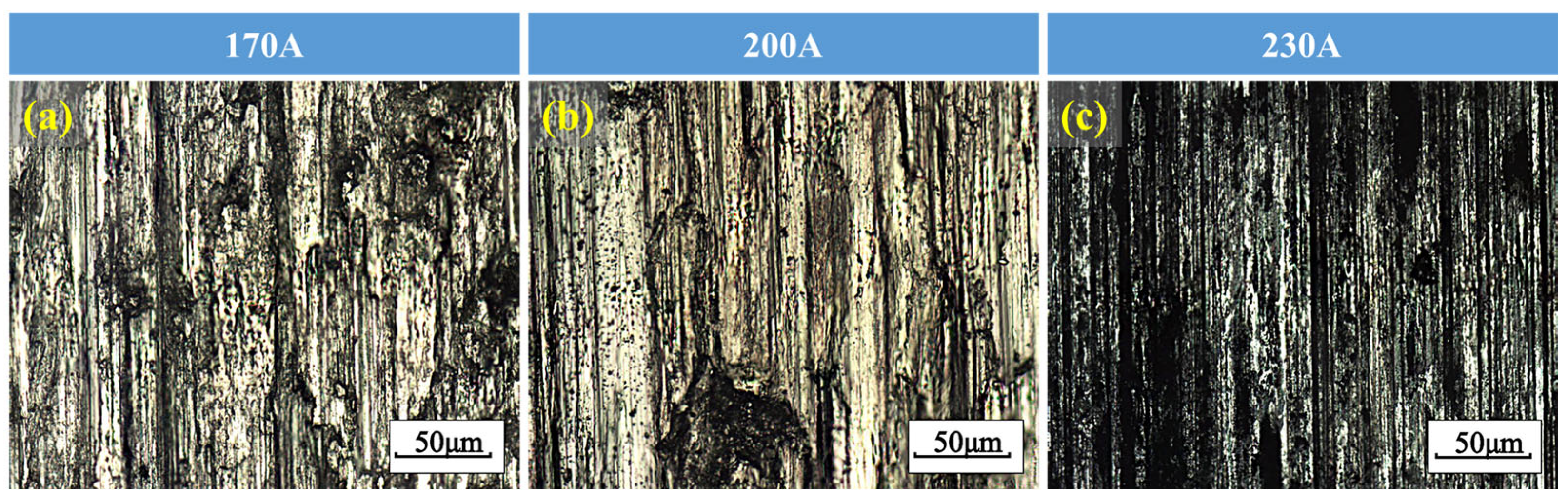 Coatings 16 00994 g008 Coatings 16 00994 g008