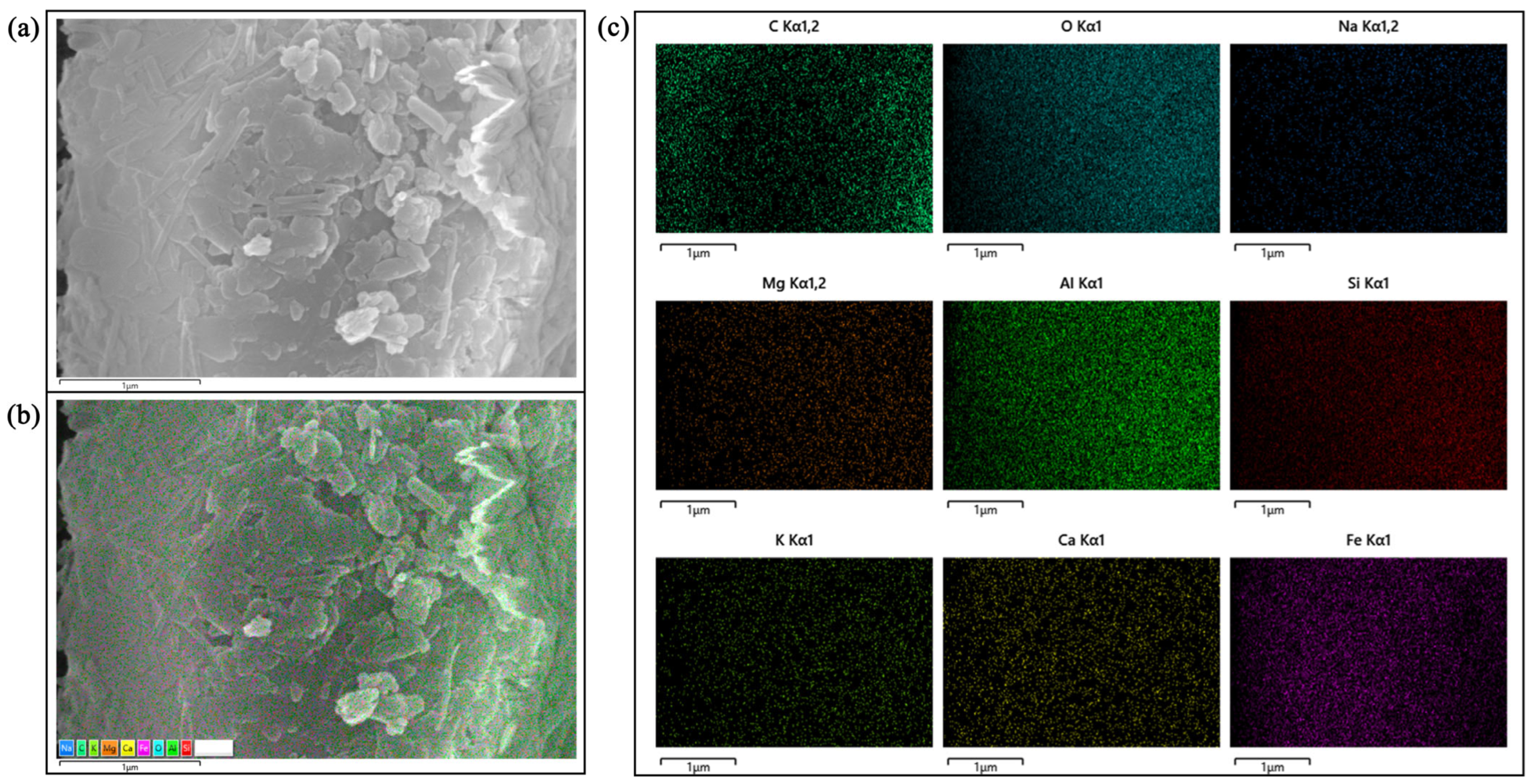 Coatings 16 00997 g010 Coatings 16 00997 g010
