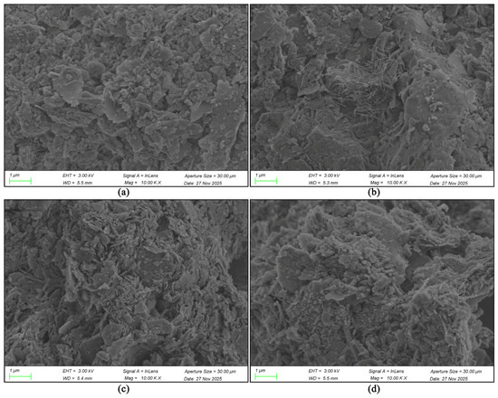 Coatings 16 00997 g0a8
