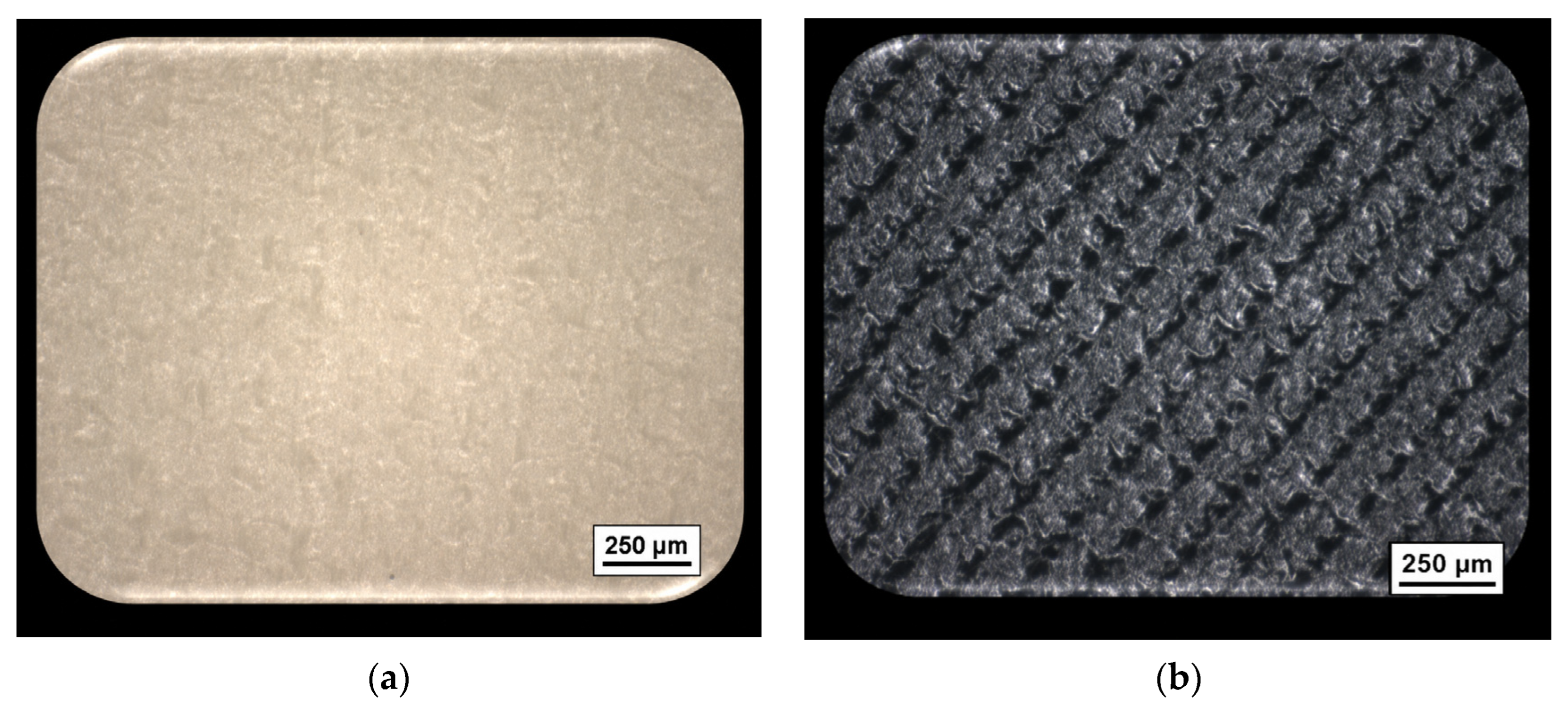 Coatings 16 01012 g001 Coatings 16 01012 g001